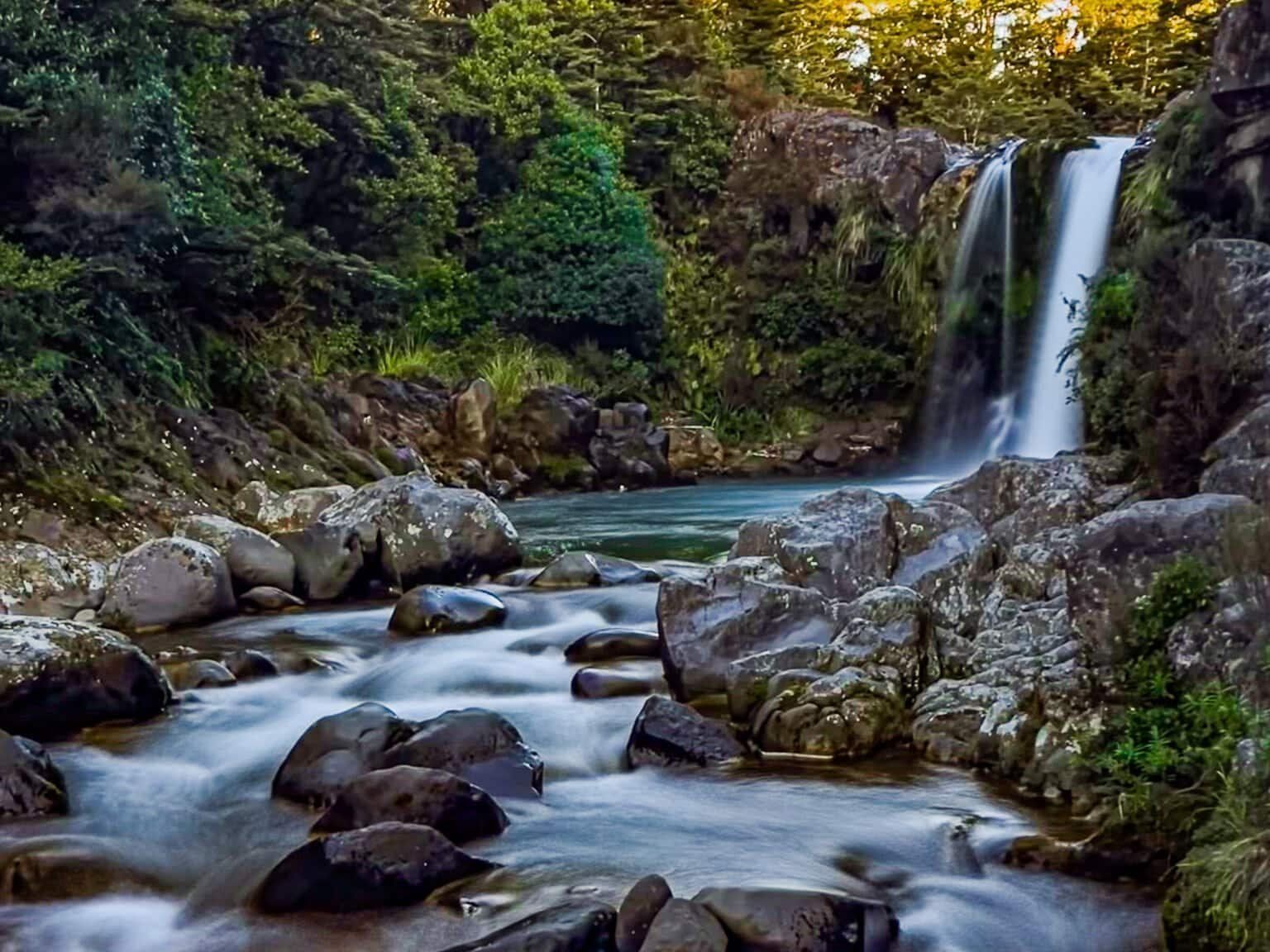 Tawhai Falls Walk