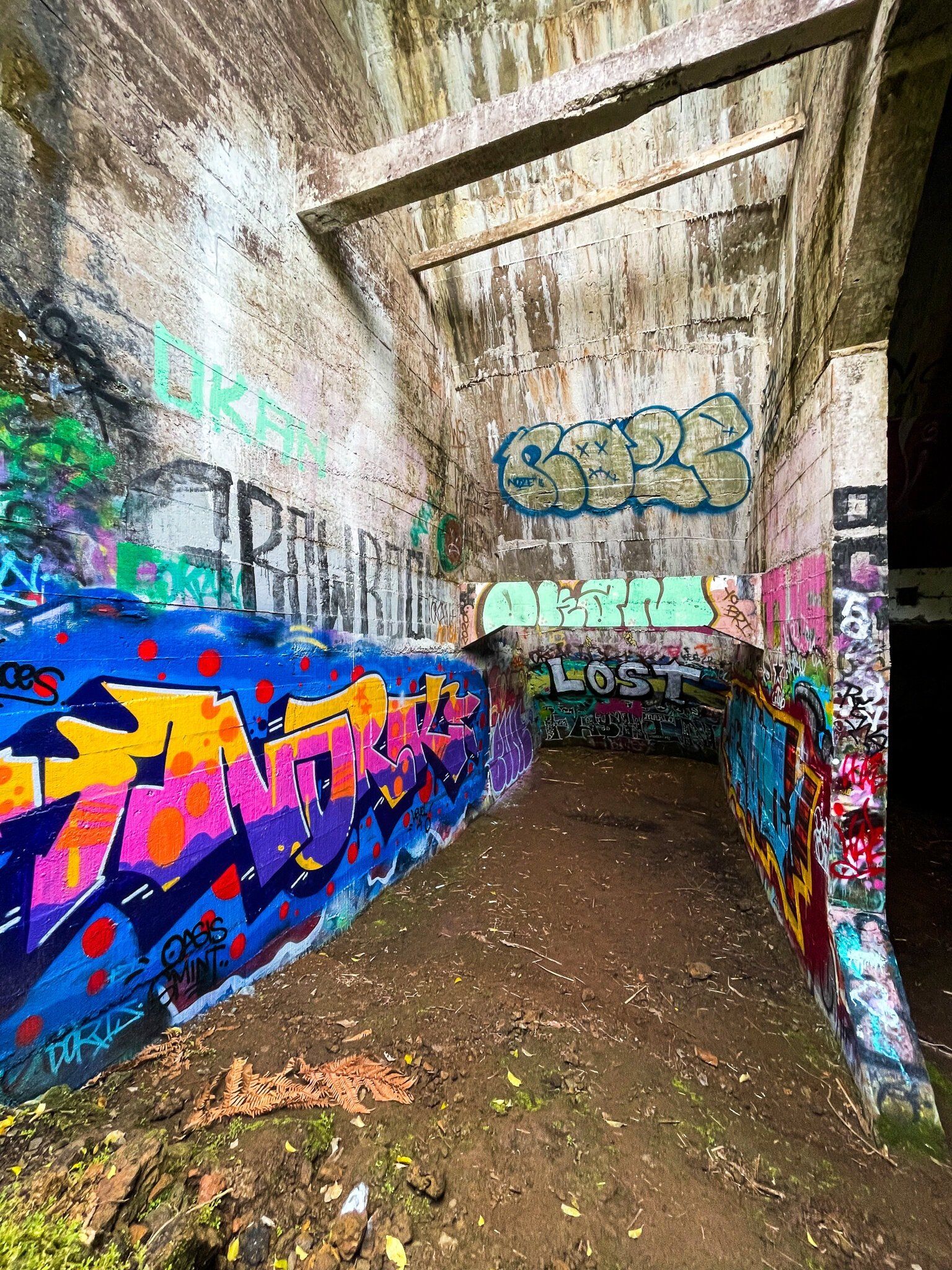 Image 6 of 9