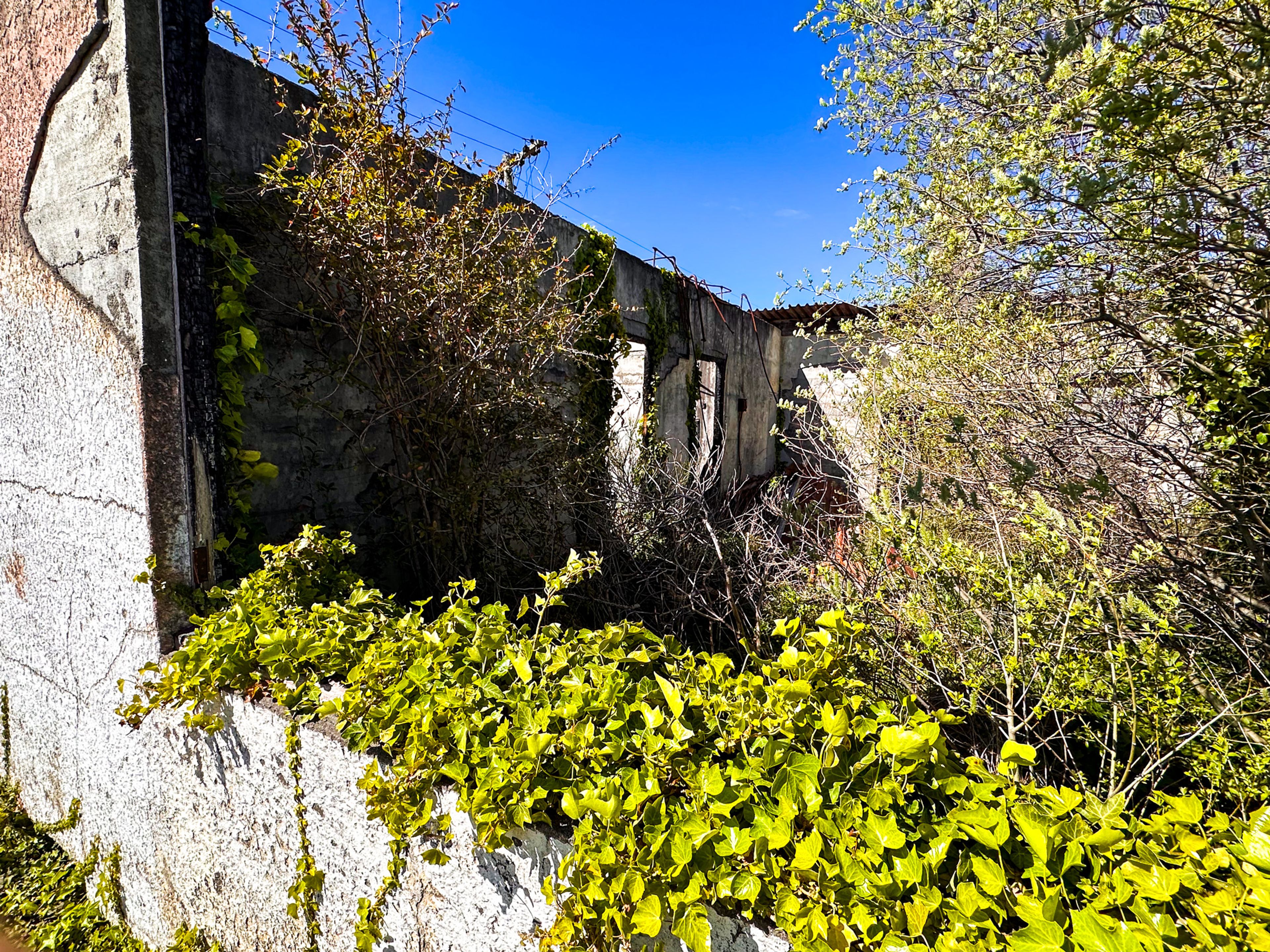 Image 2 of 10