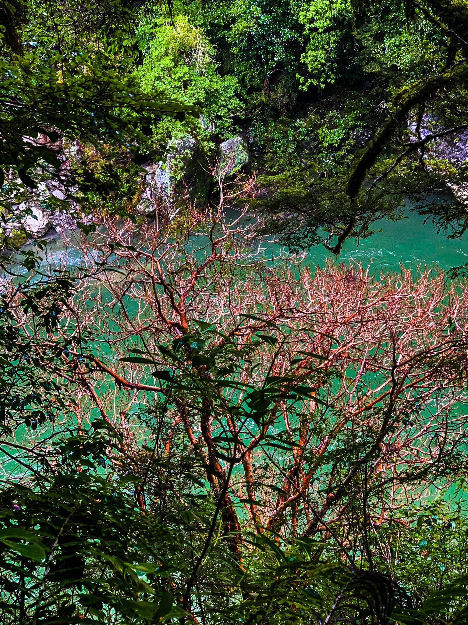 Image 9 of 14
