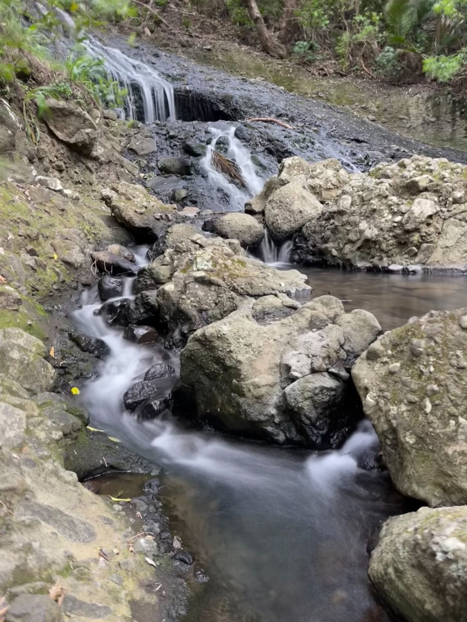 Image 5 of 8