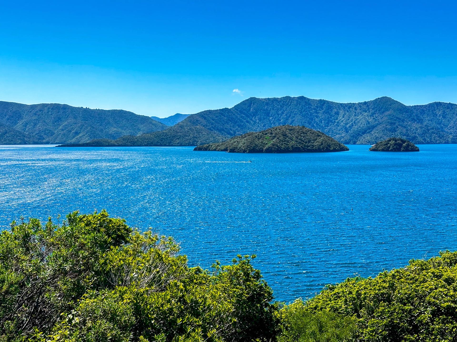 Karaka Point Reserve New Zealand Trip Ideas karaka-point-reserve-new-zealand-trip-ideas