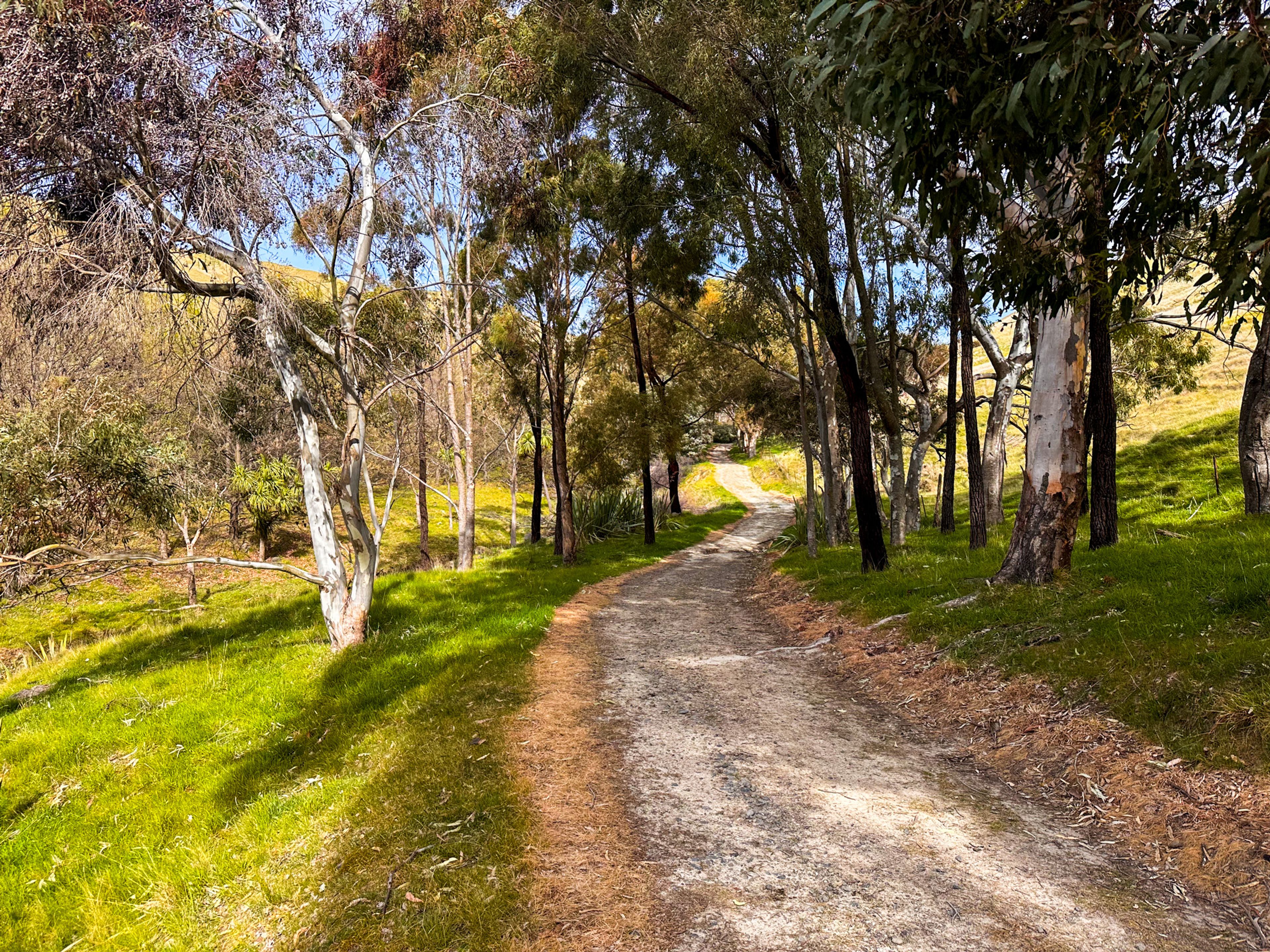 Image 7 of 10