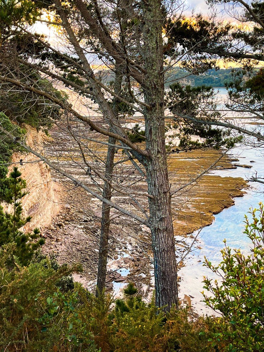 Image 7 of 8