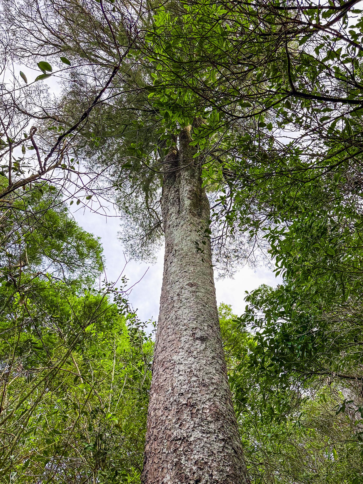 Image 8 of 10