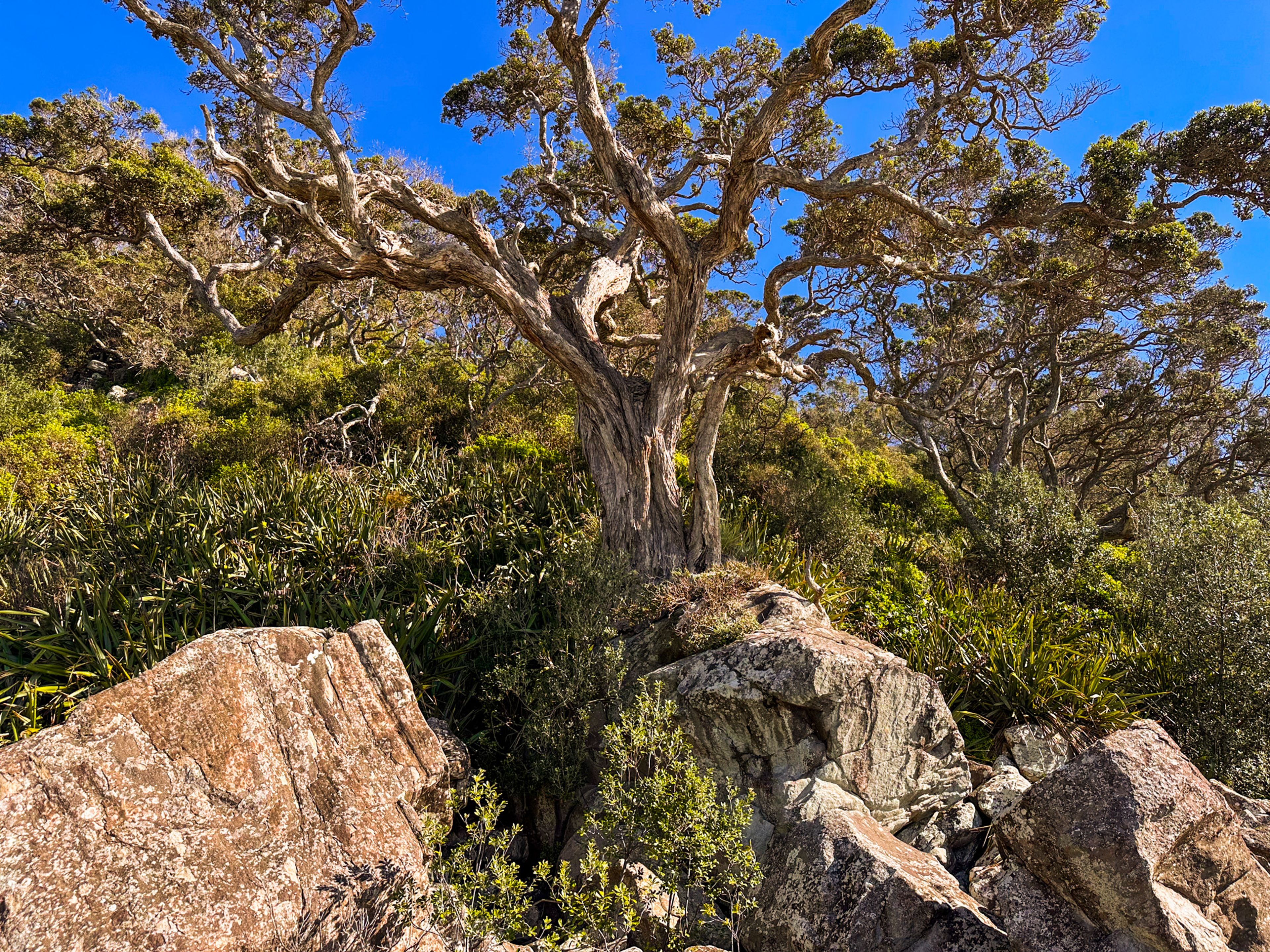 Image 7 of 10