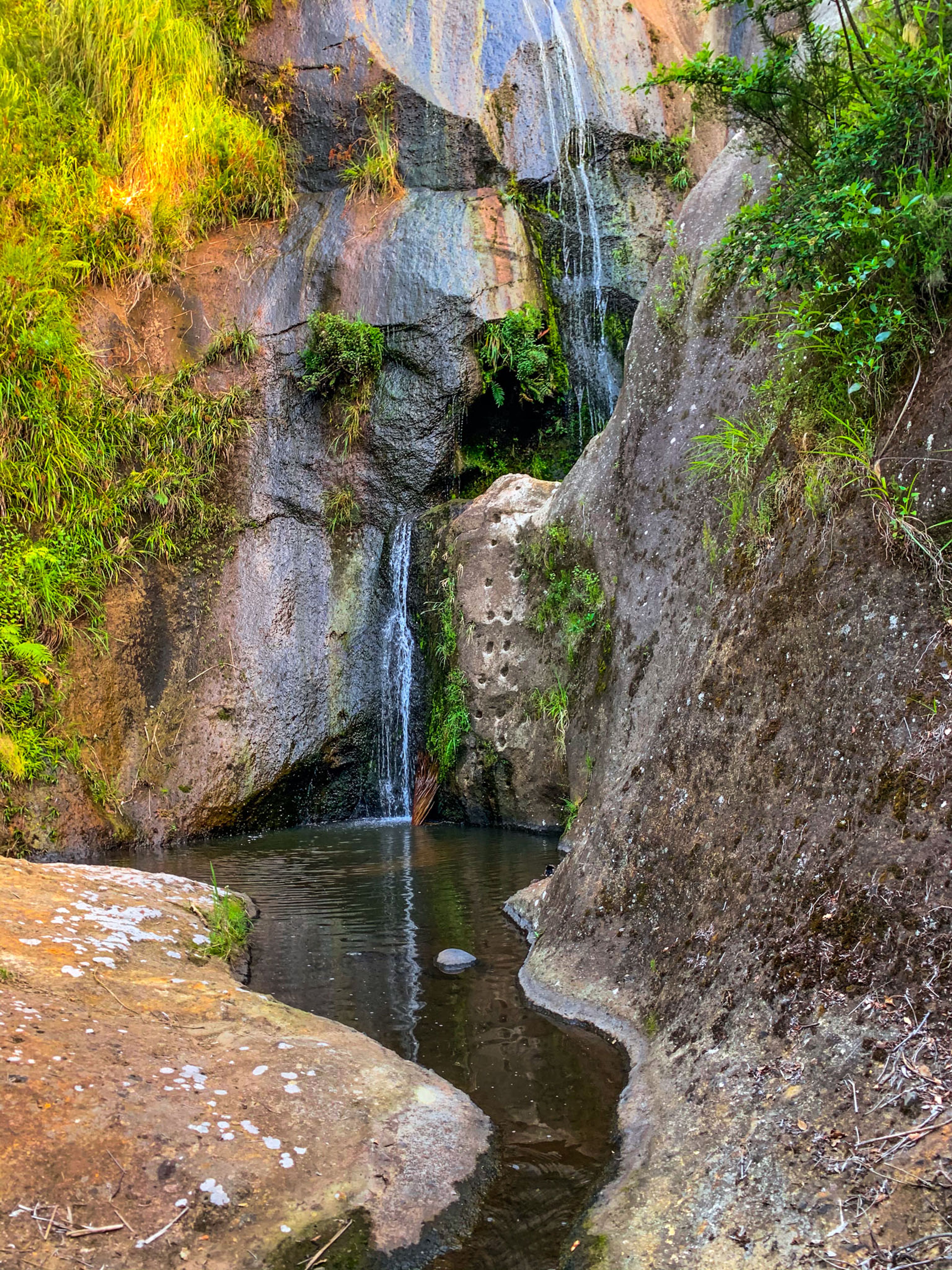 Image 8 of 10