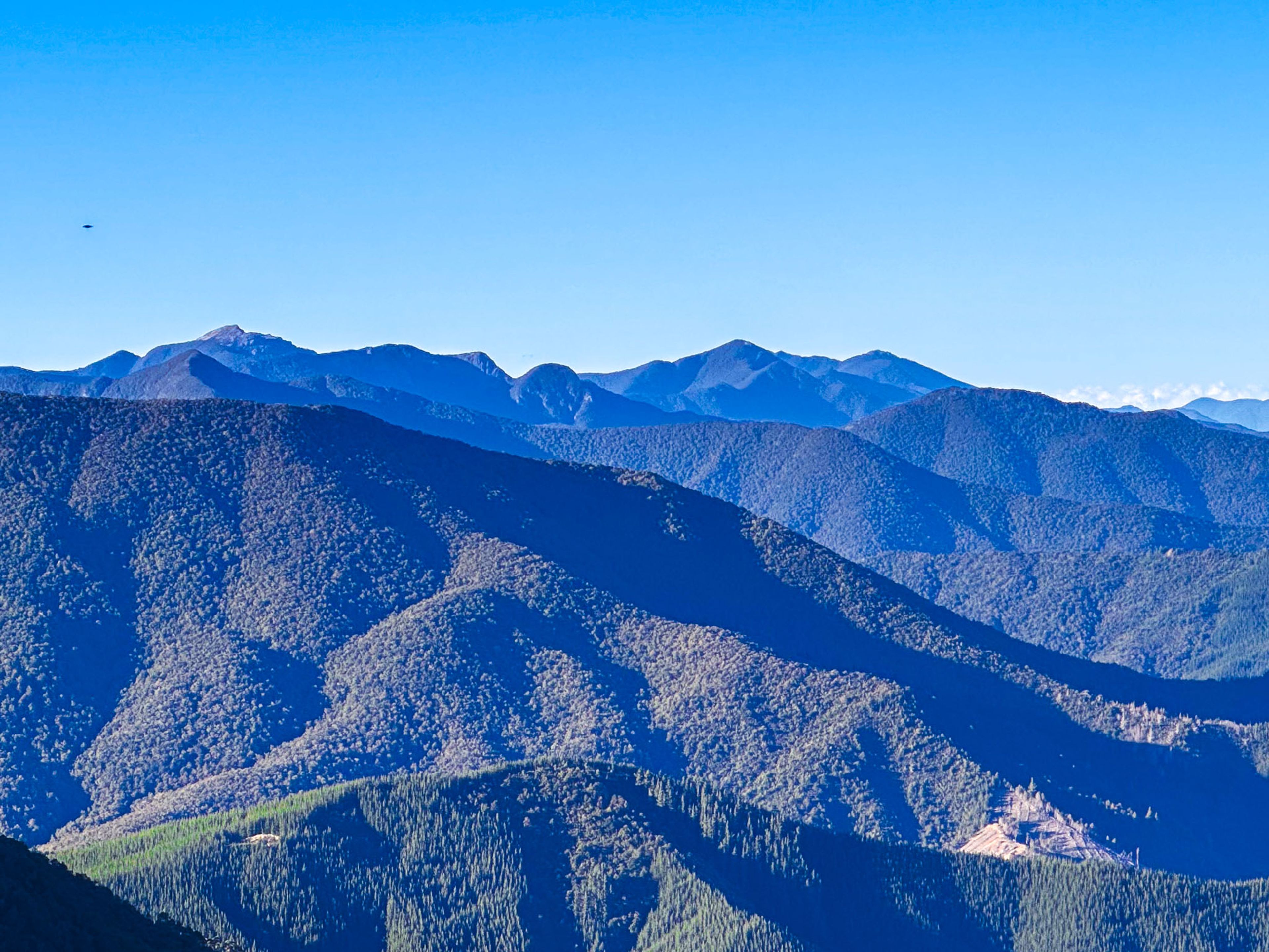 Image 7 of 10