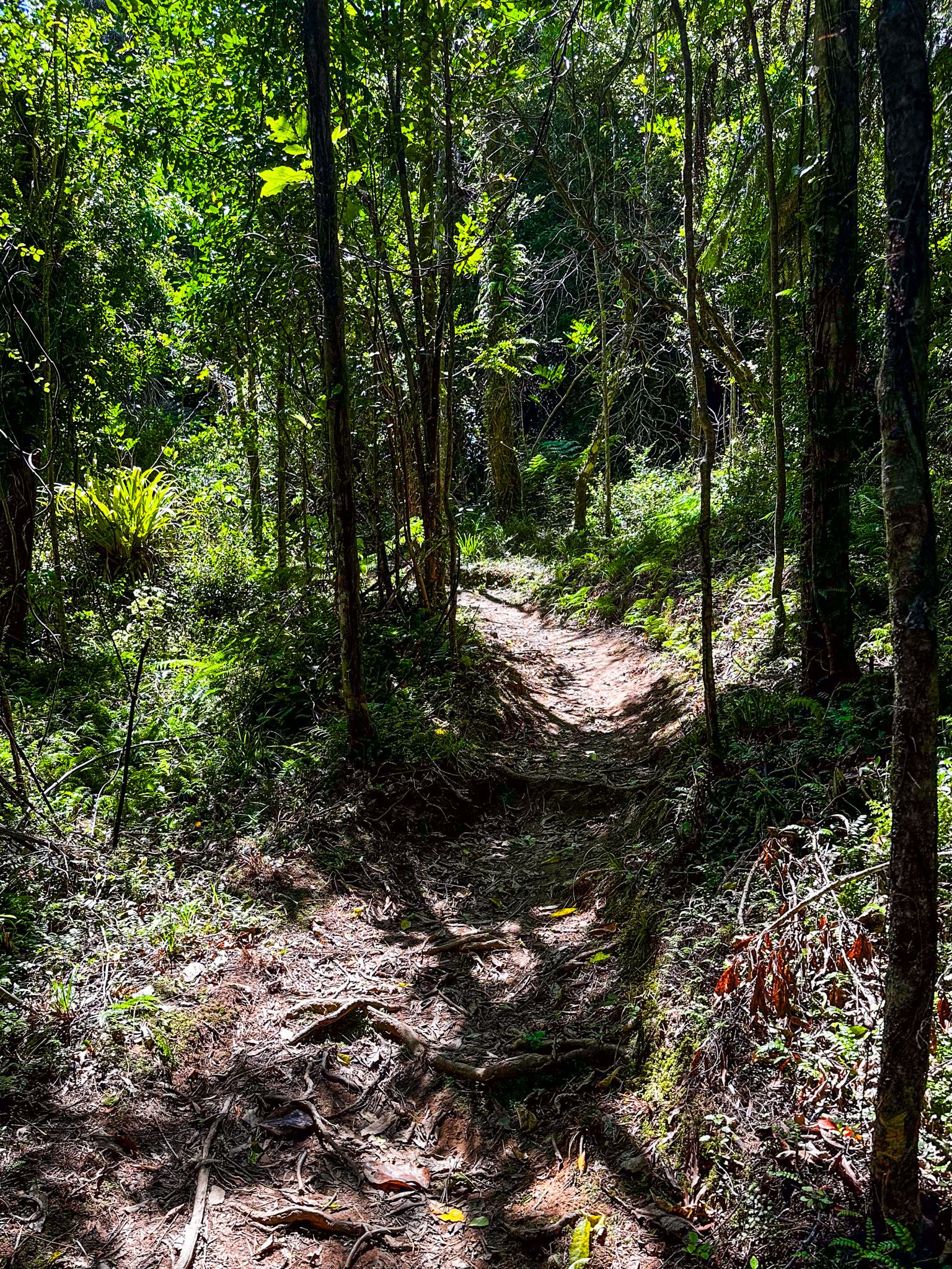 Image 2 of 9