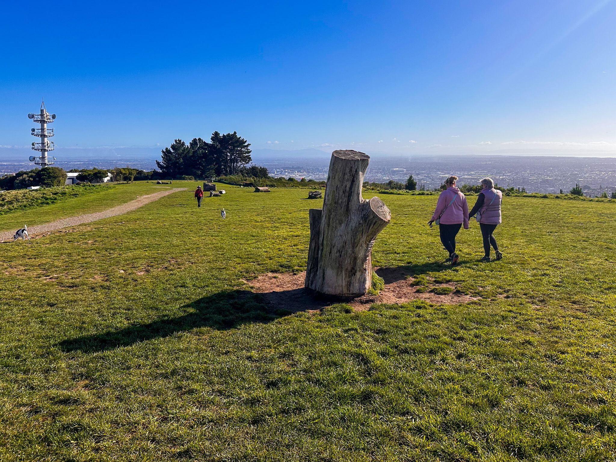 Victoria Park, Port Hills