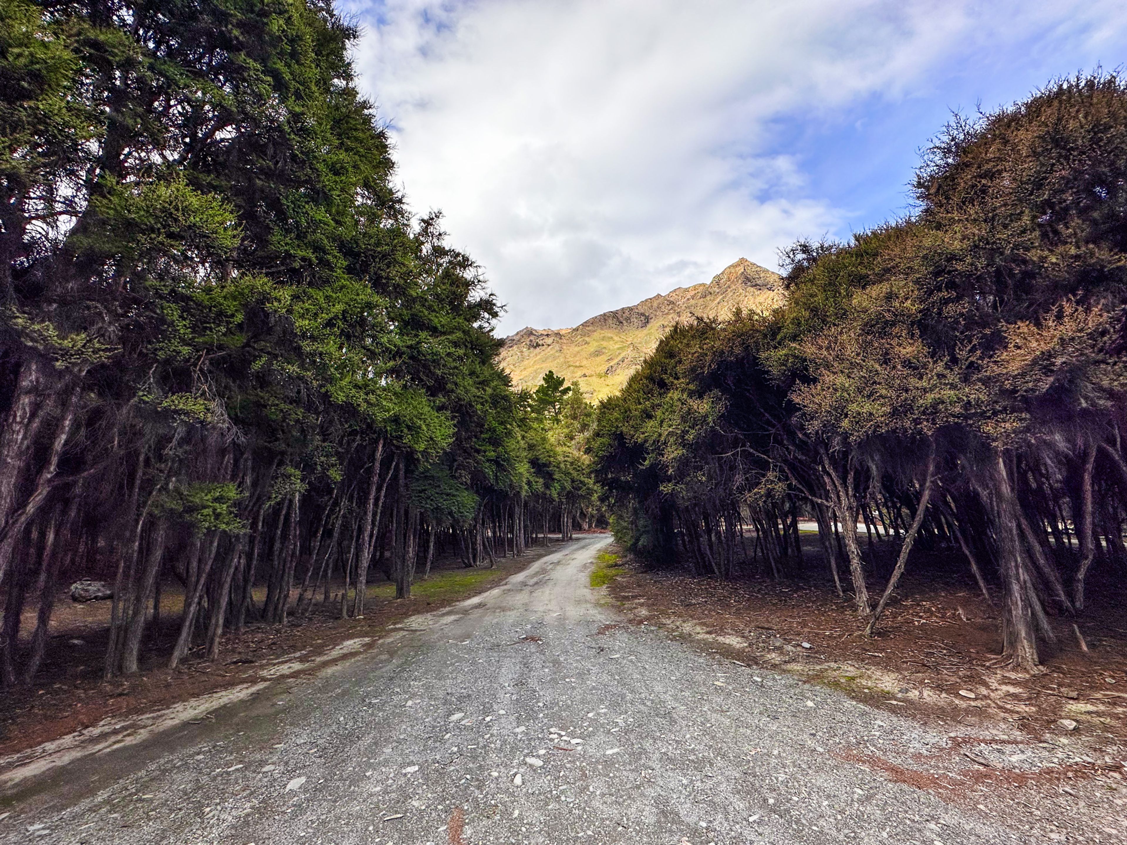 Image 8 of 10