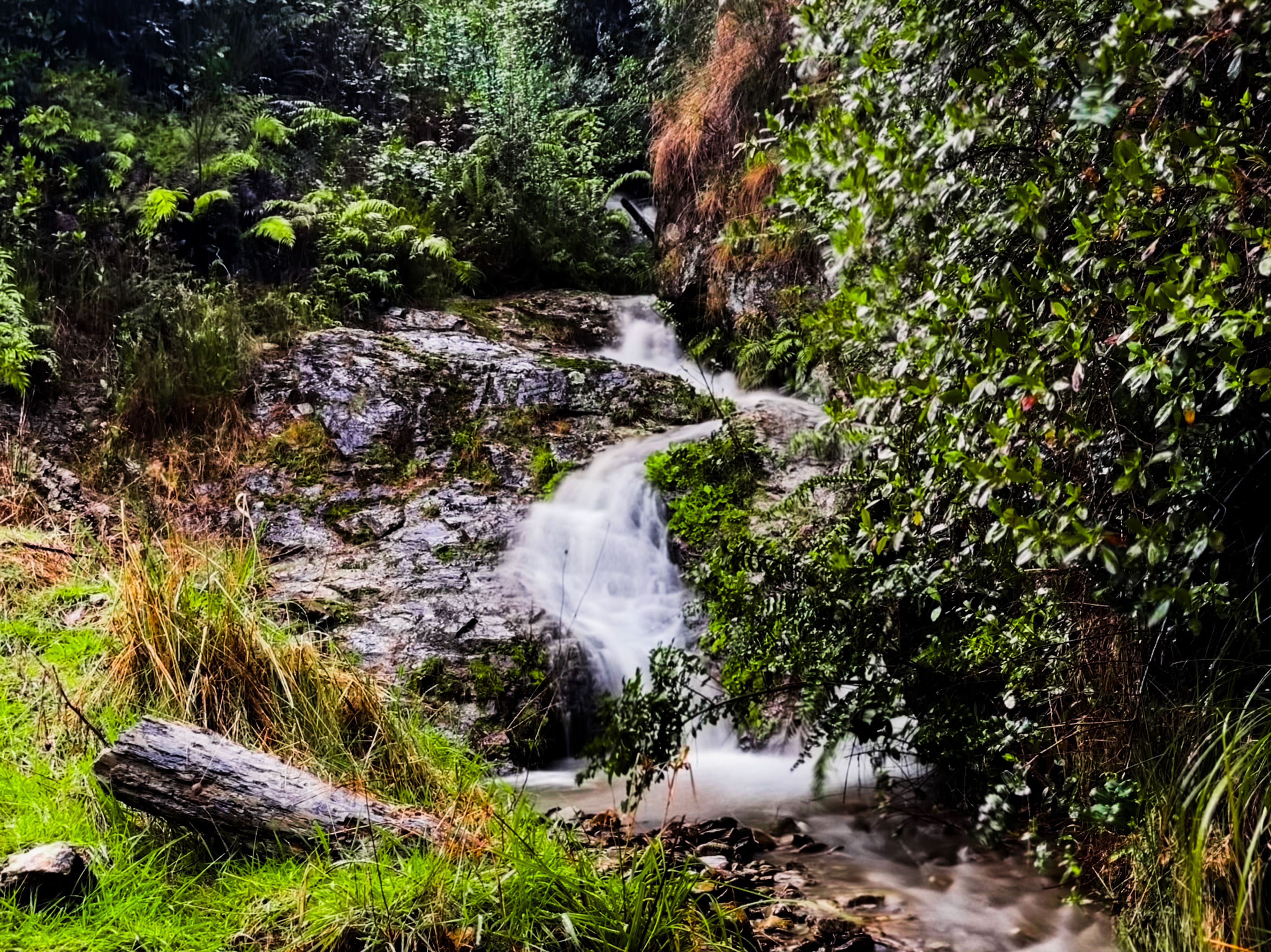 Image 9 of 10