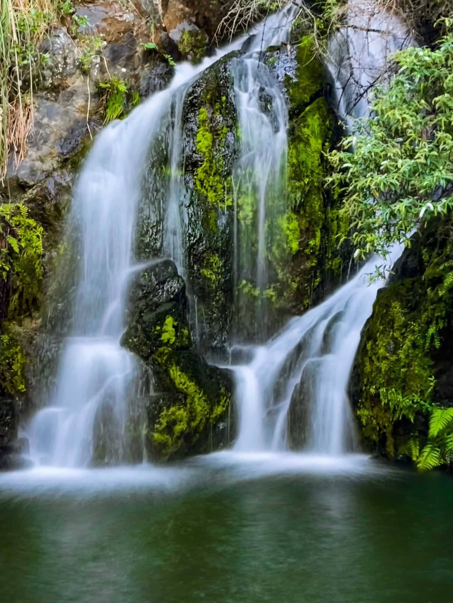 Huna Ranges Hunua Ranges | South Auckland - New Zealand Trip Ideas