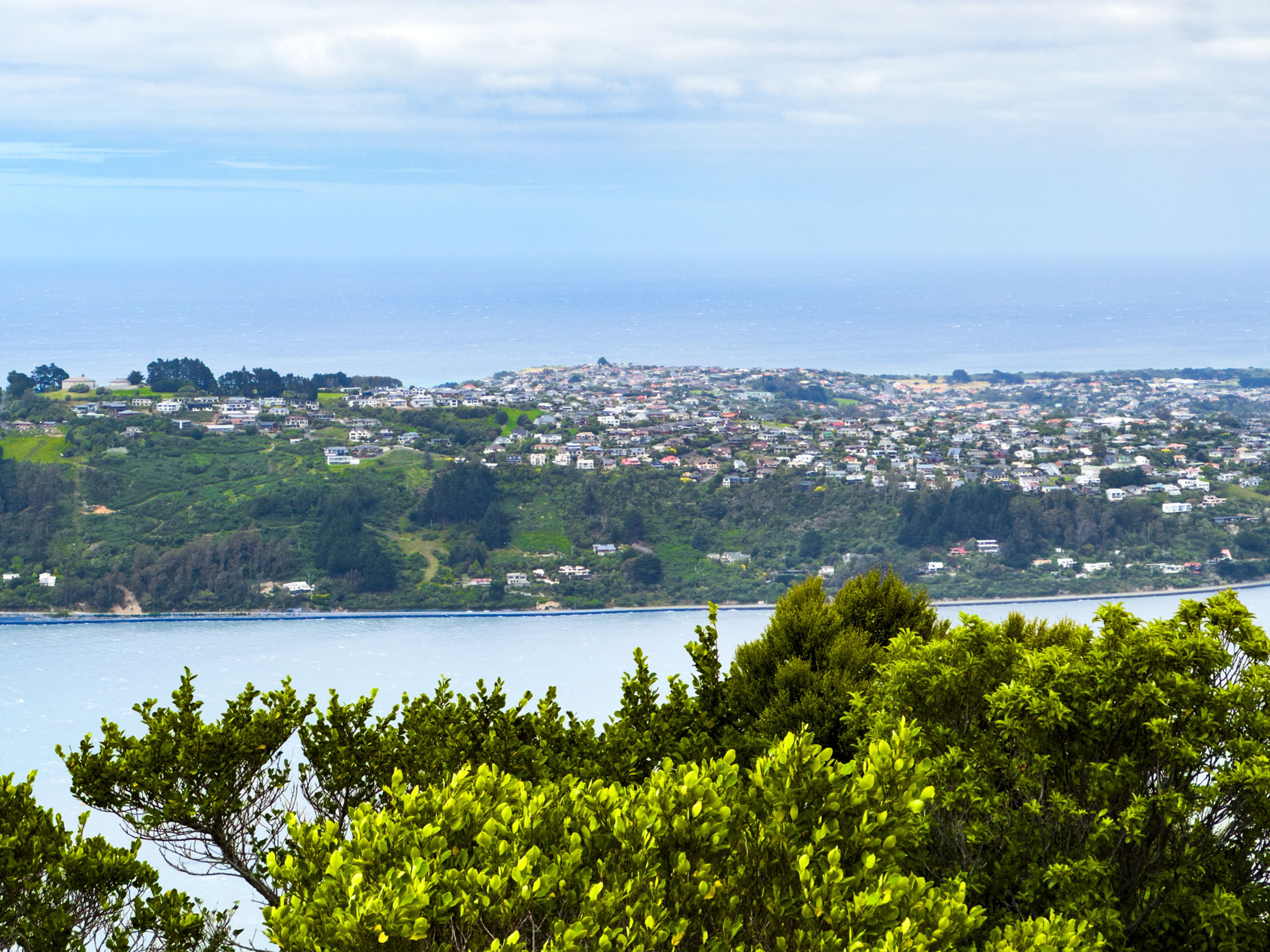 Image 10 of 10