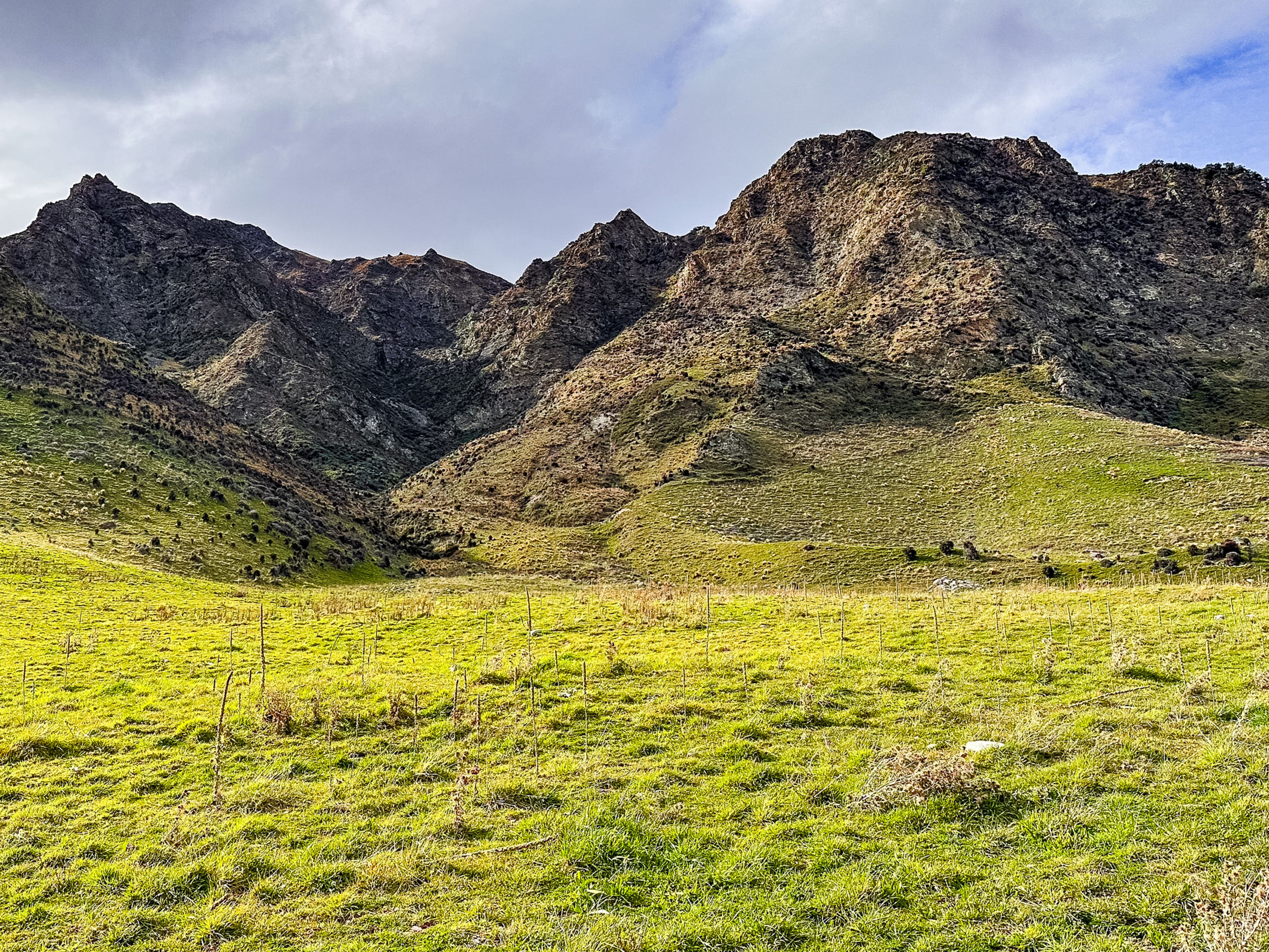 Image 7 of 10