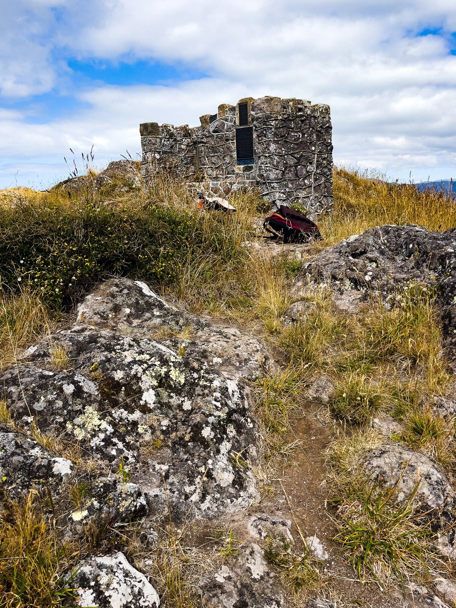 Image 7 of 12