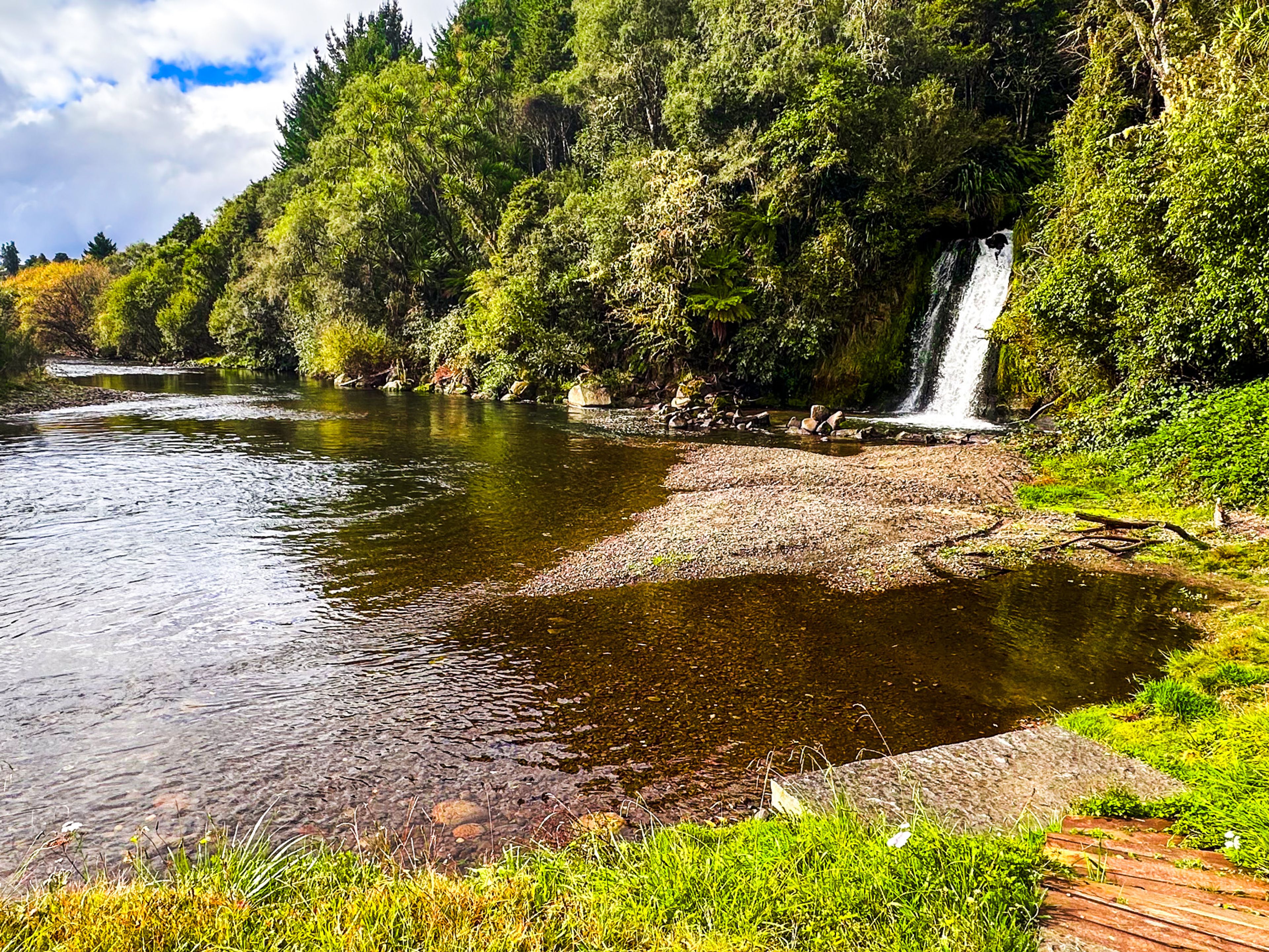 The Magamate Falls, surrounded by forest and dropping into the Whirinaki River