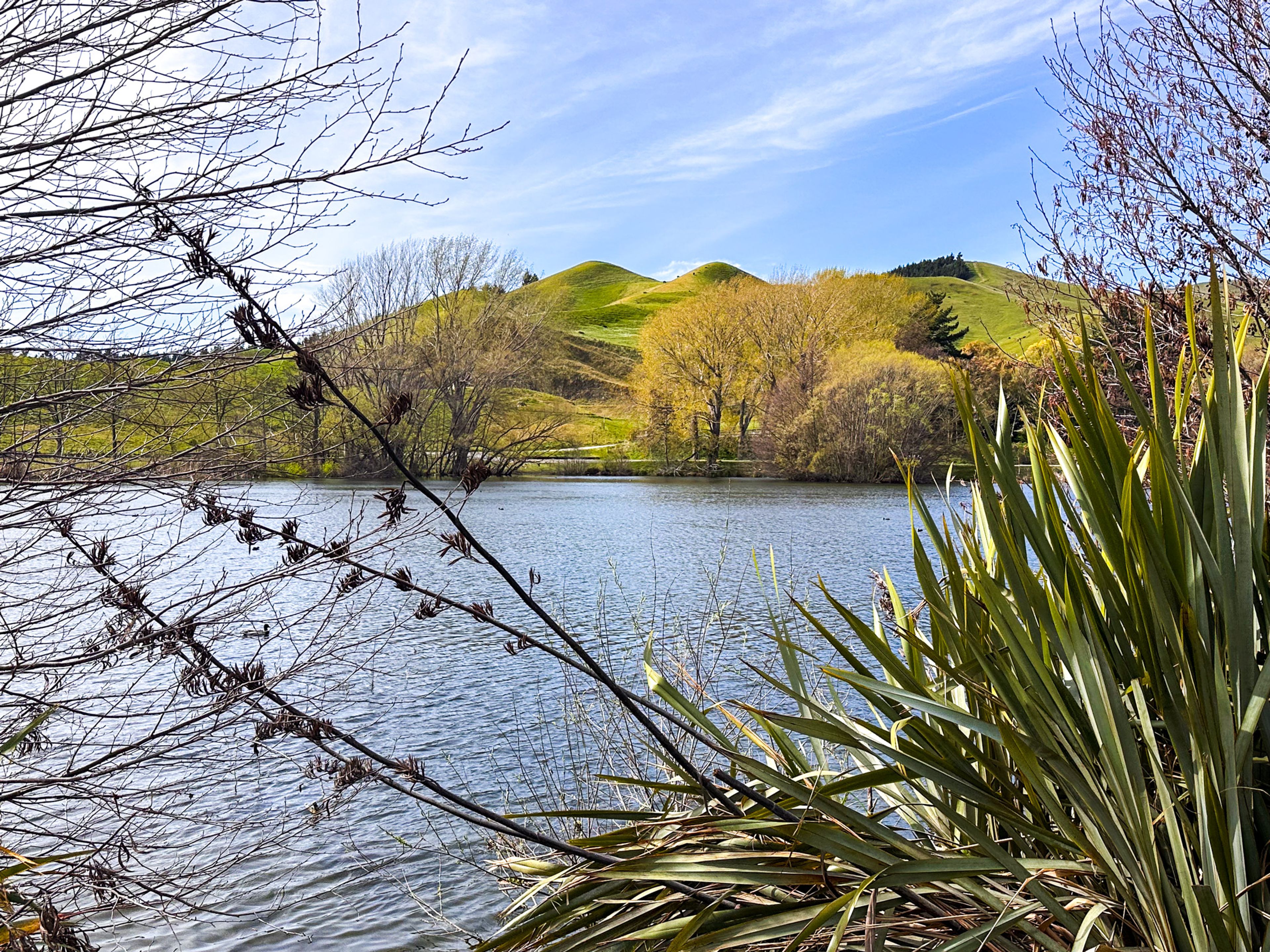 Taylor Dam Reserve
