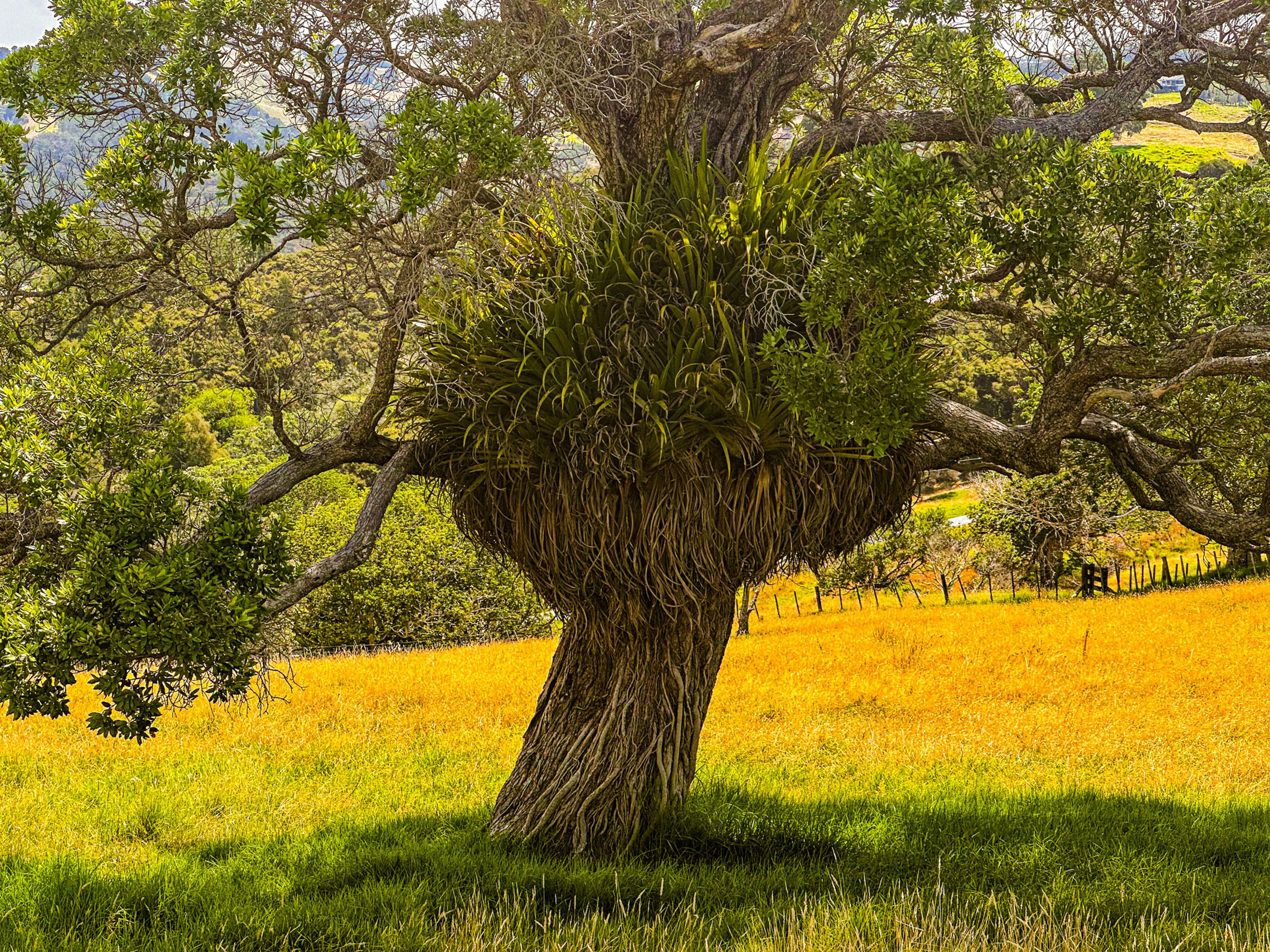Image 10 of 10