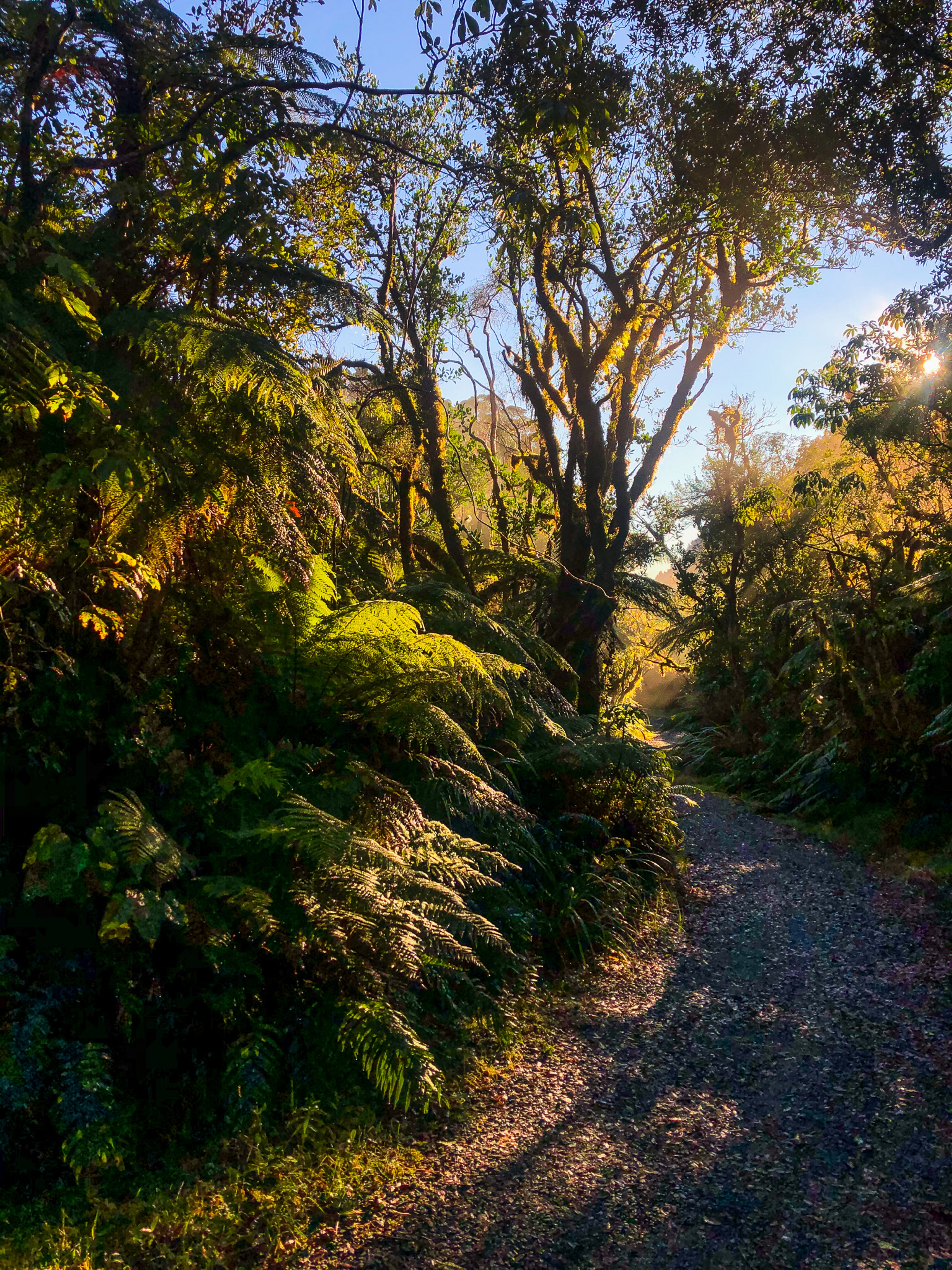 Image 8 of 10