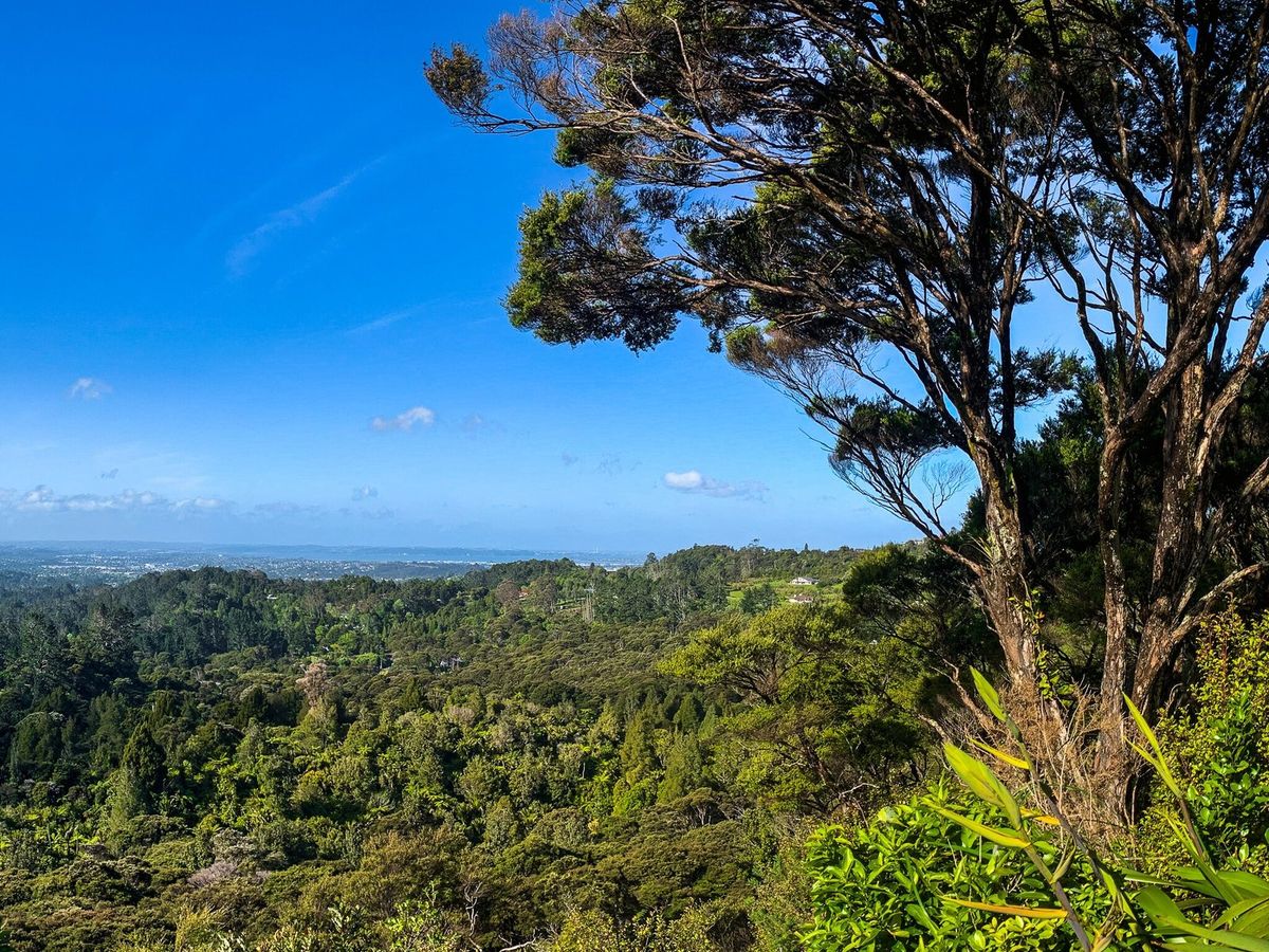 Waitakere Ranges, Part 4 - Trip Ideas