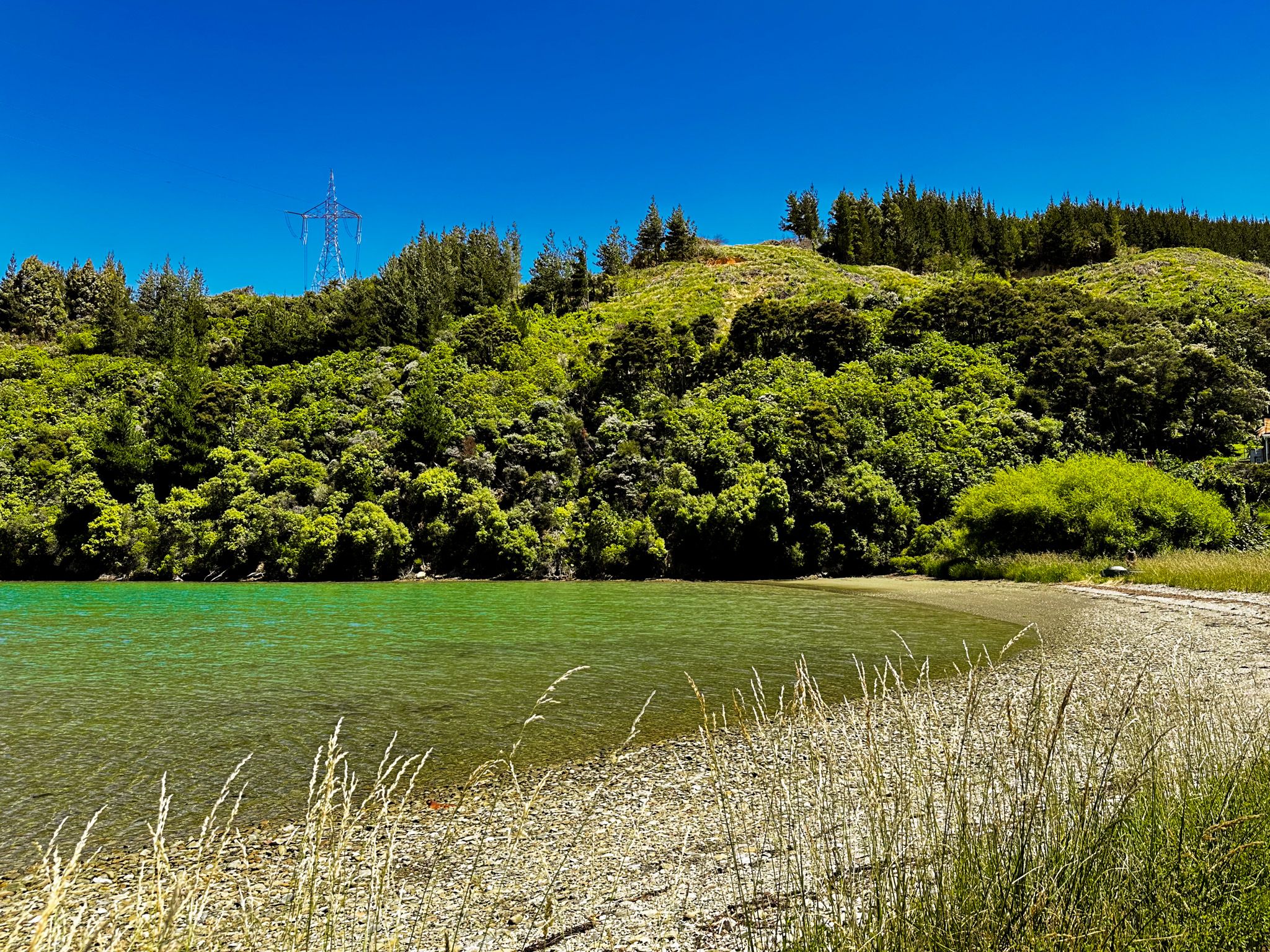 Image 8 of 10