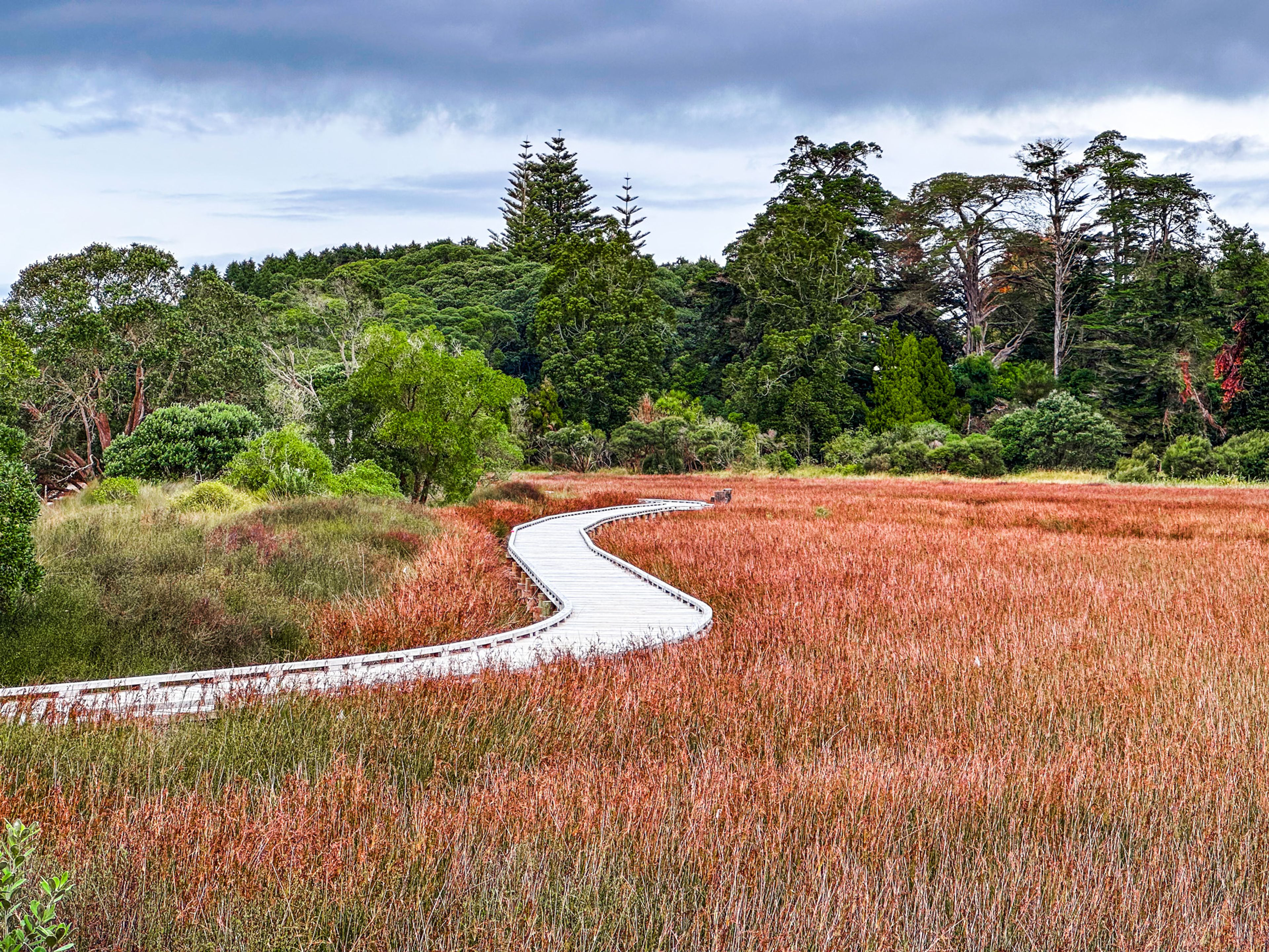 Āwhitu Regional Park
