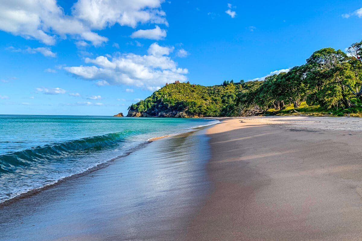 Explore gold and sand in beautiful Waihi