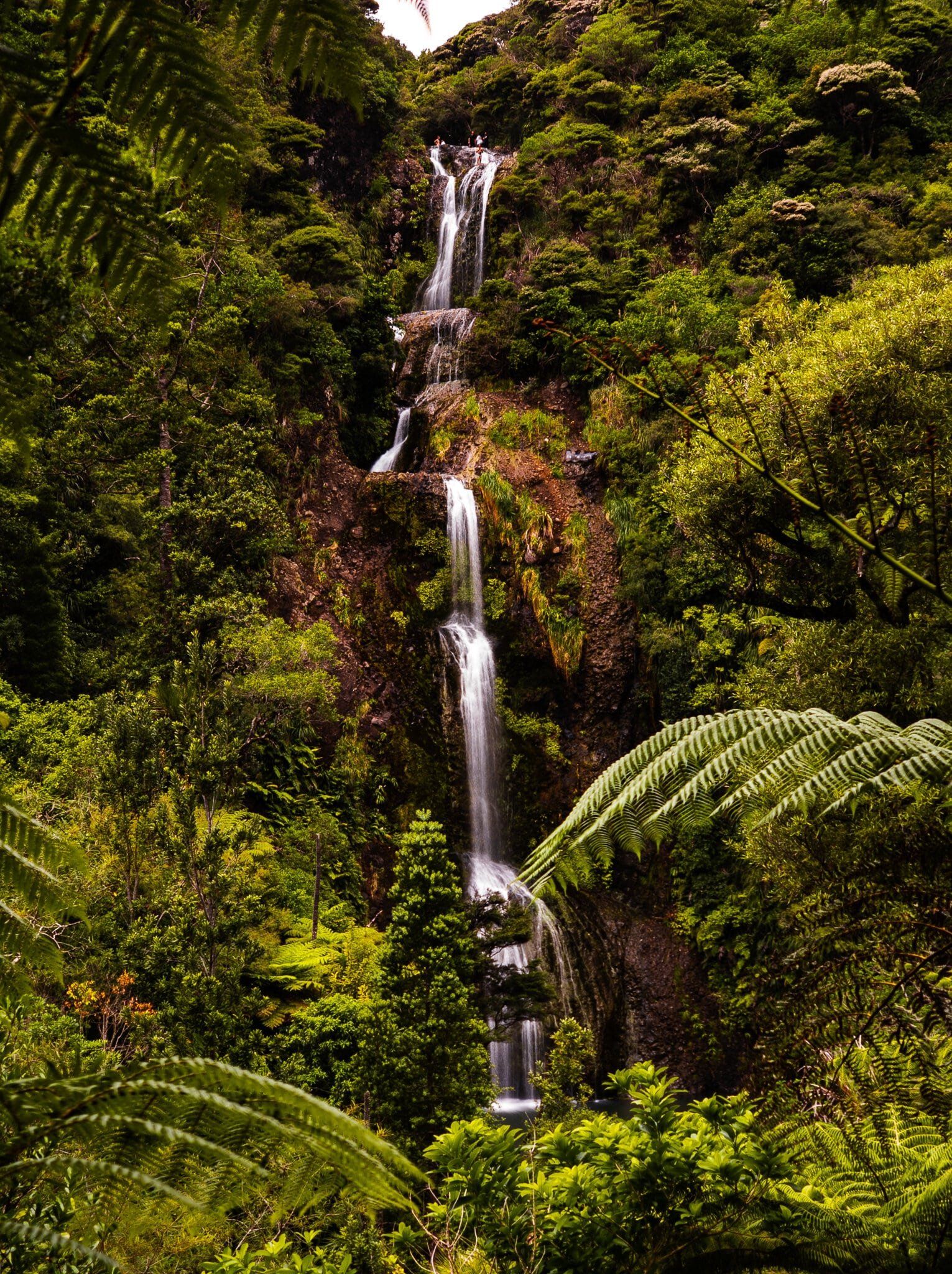 Image 5 of 10