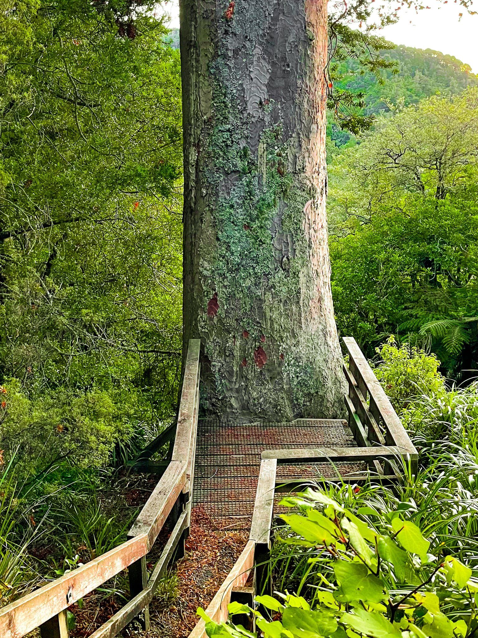 Image 3 of 11