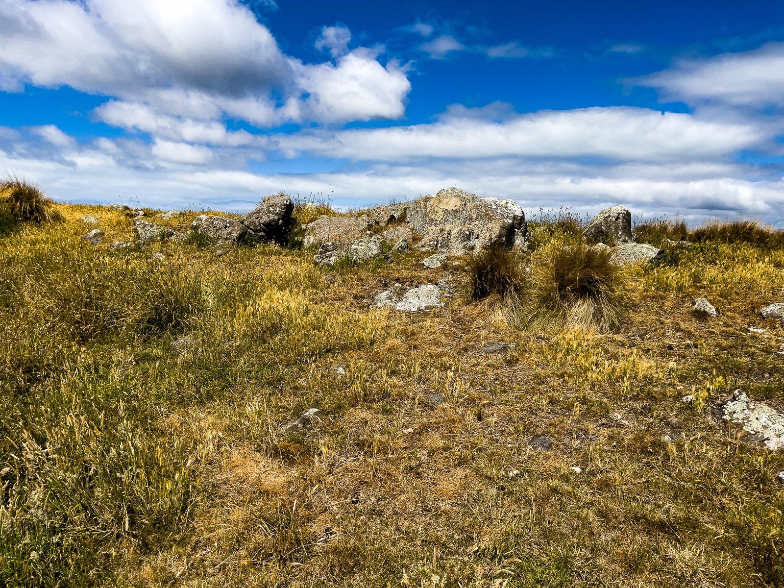 Image 8 of 10