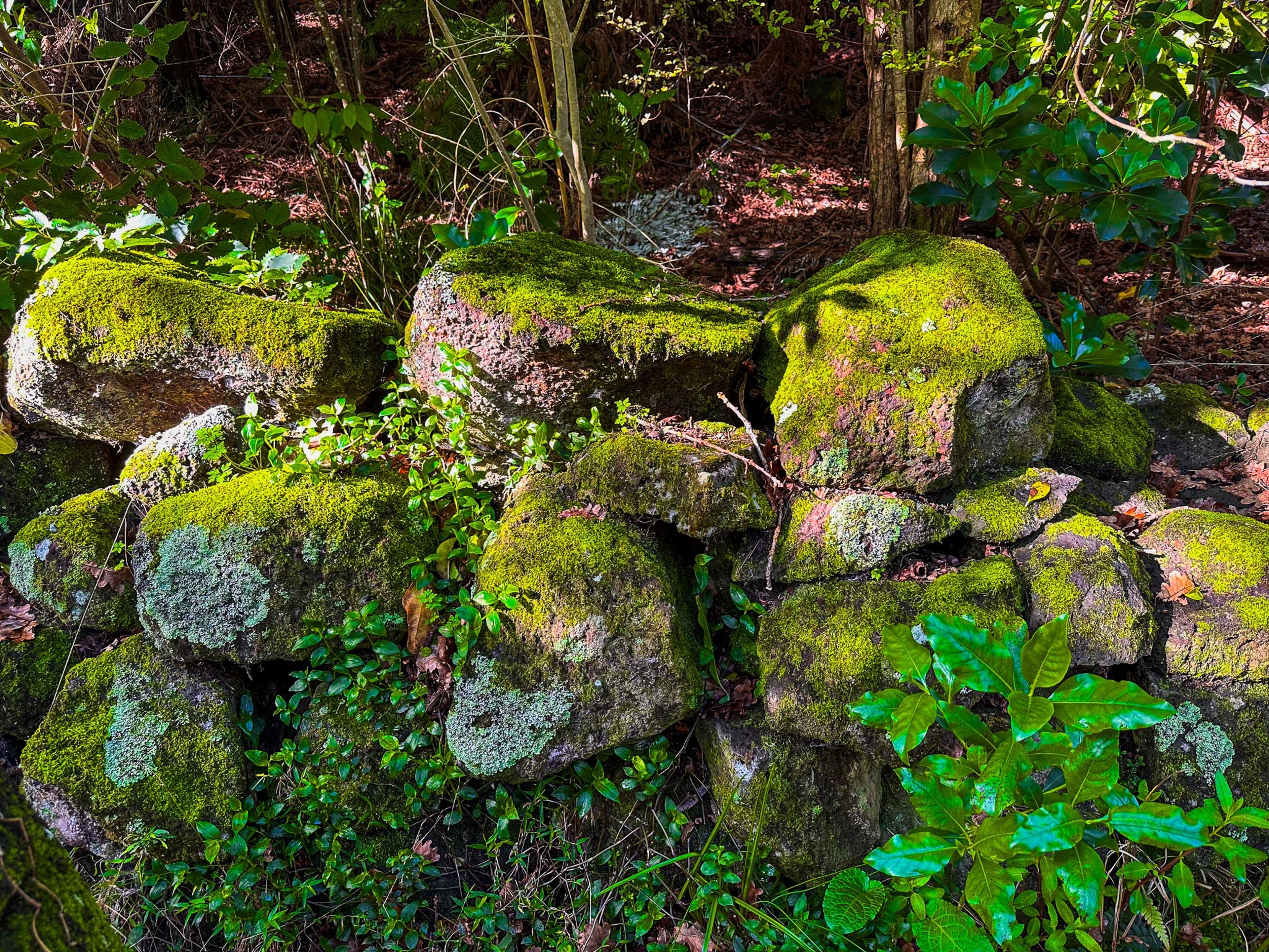Image 5 of 10