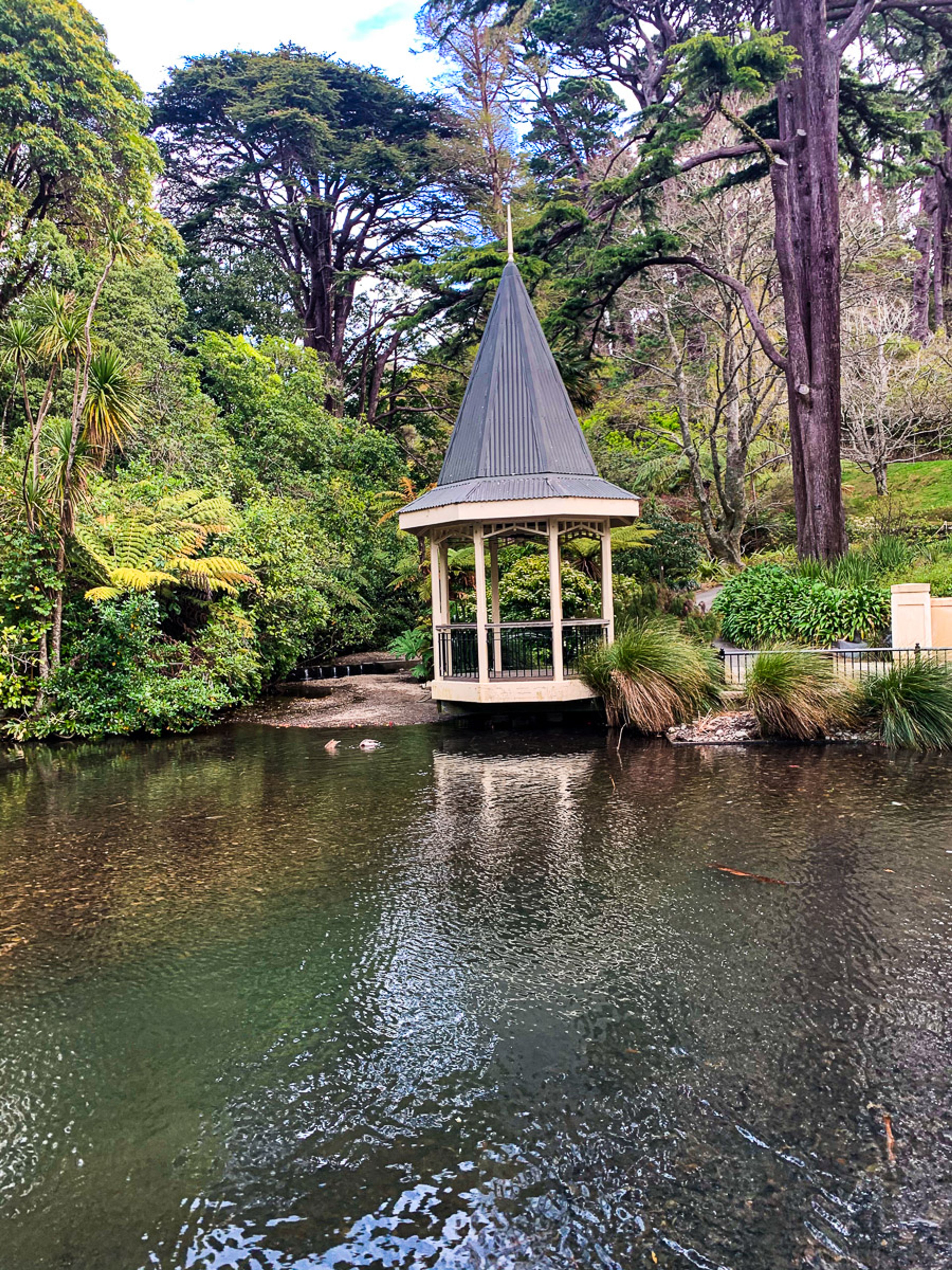Image 10 of 10