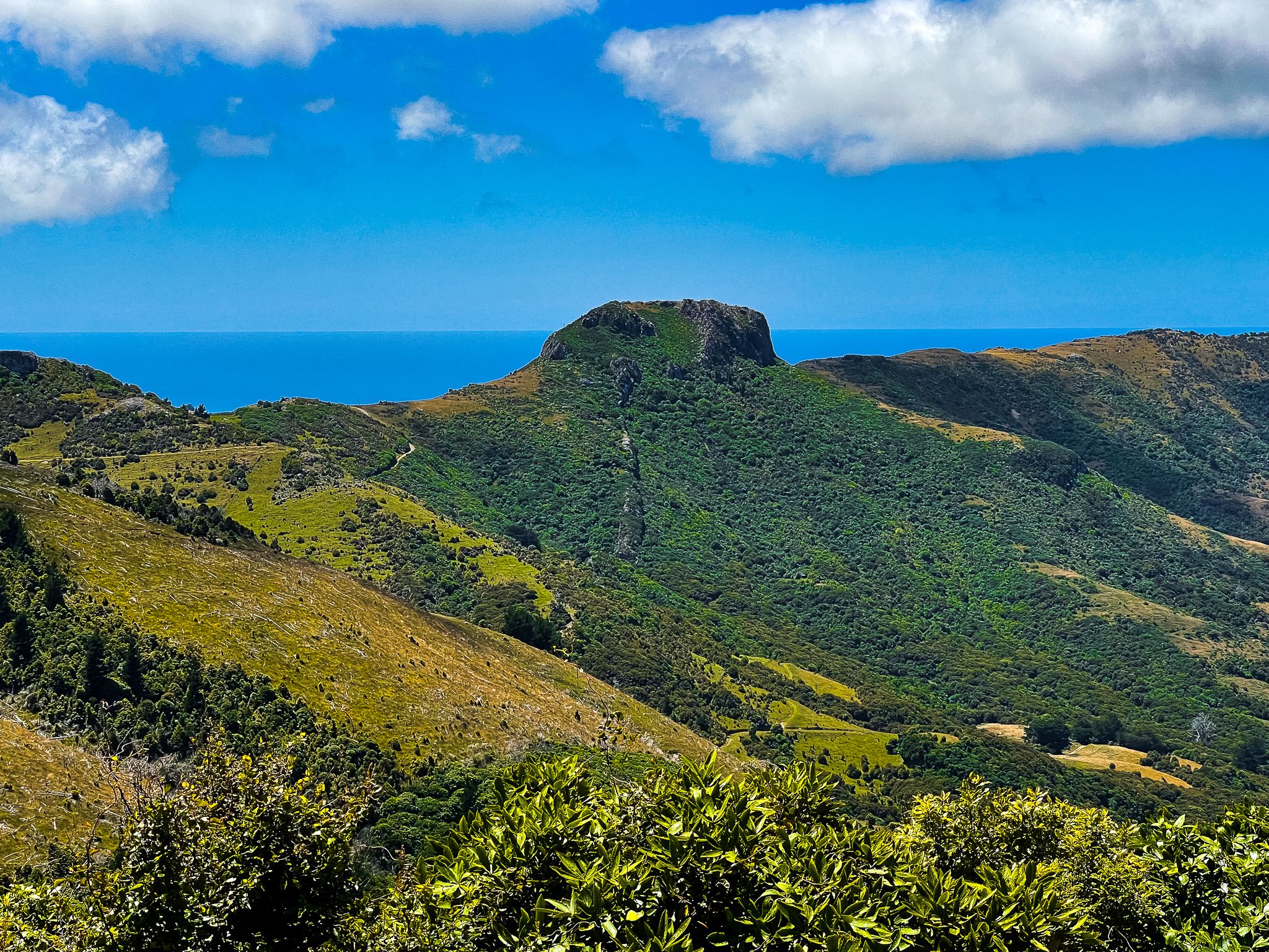 Image 6 of 10