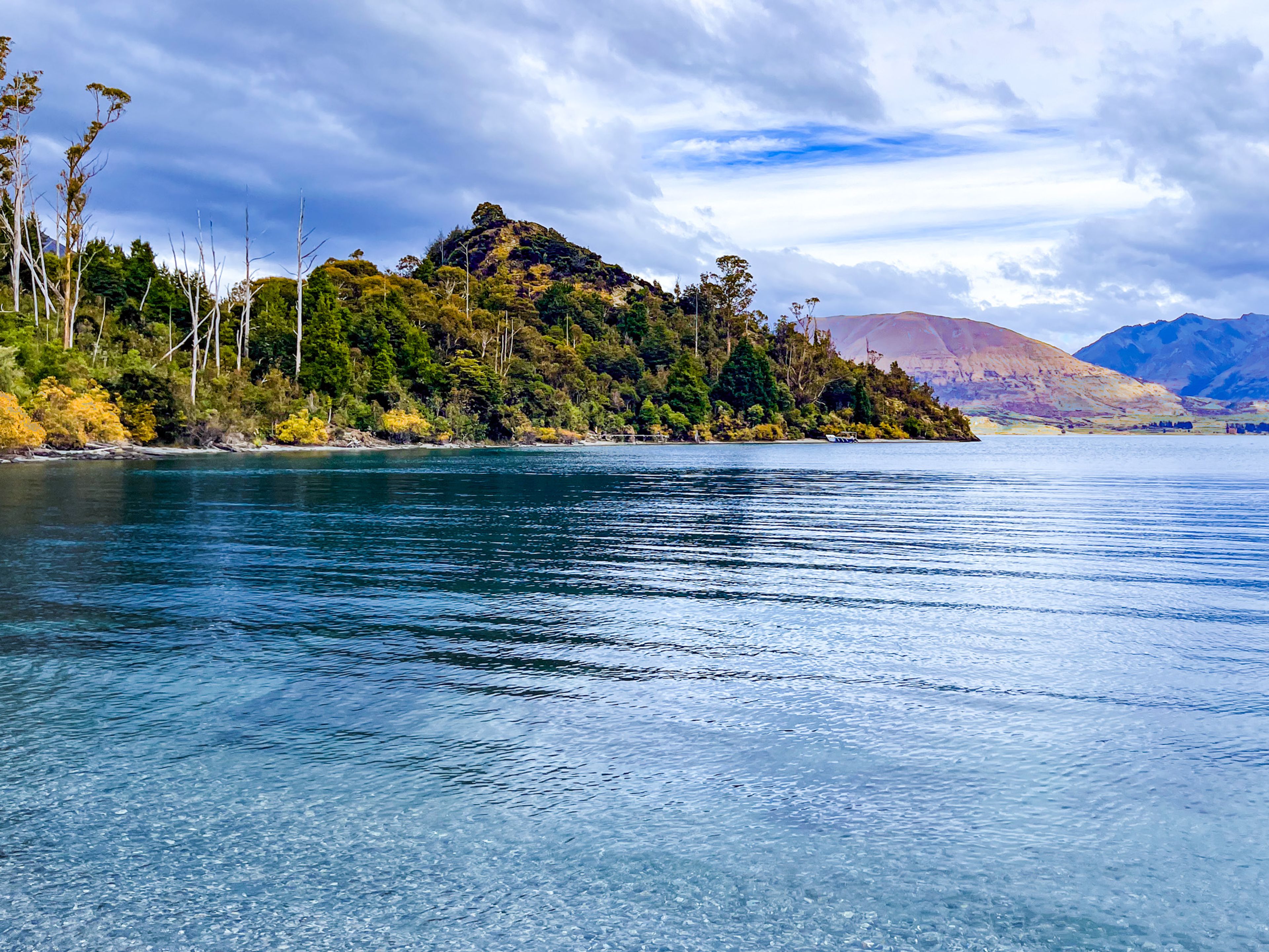 Looking across Bobs Cove to Picnic Point