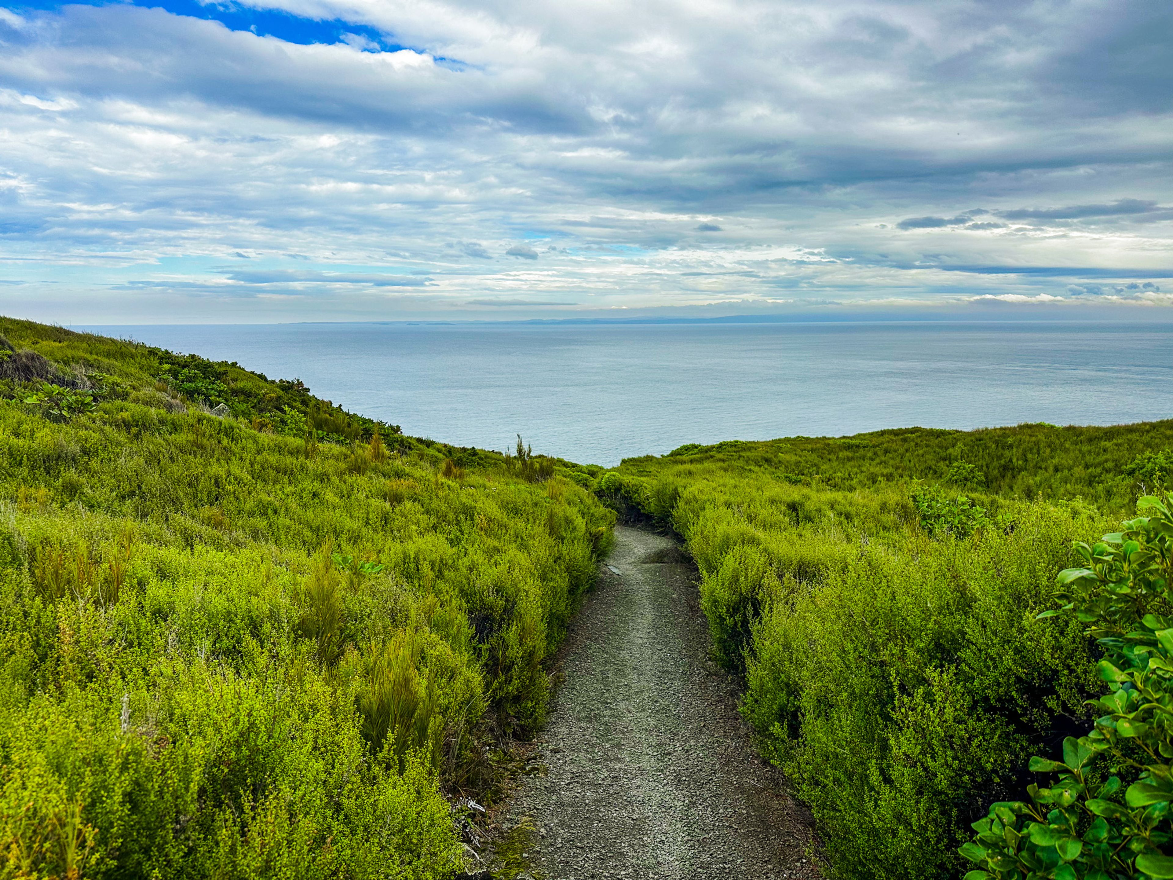 Bluff Hill Loop Walk
