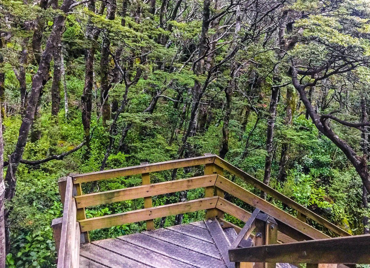 Image 6 of 6