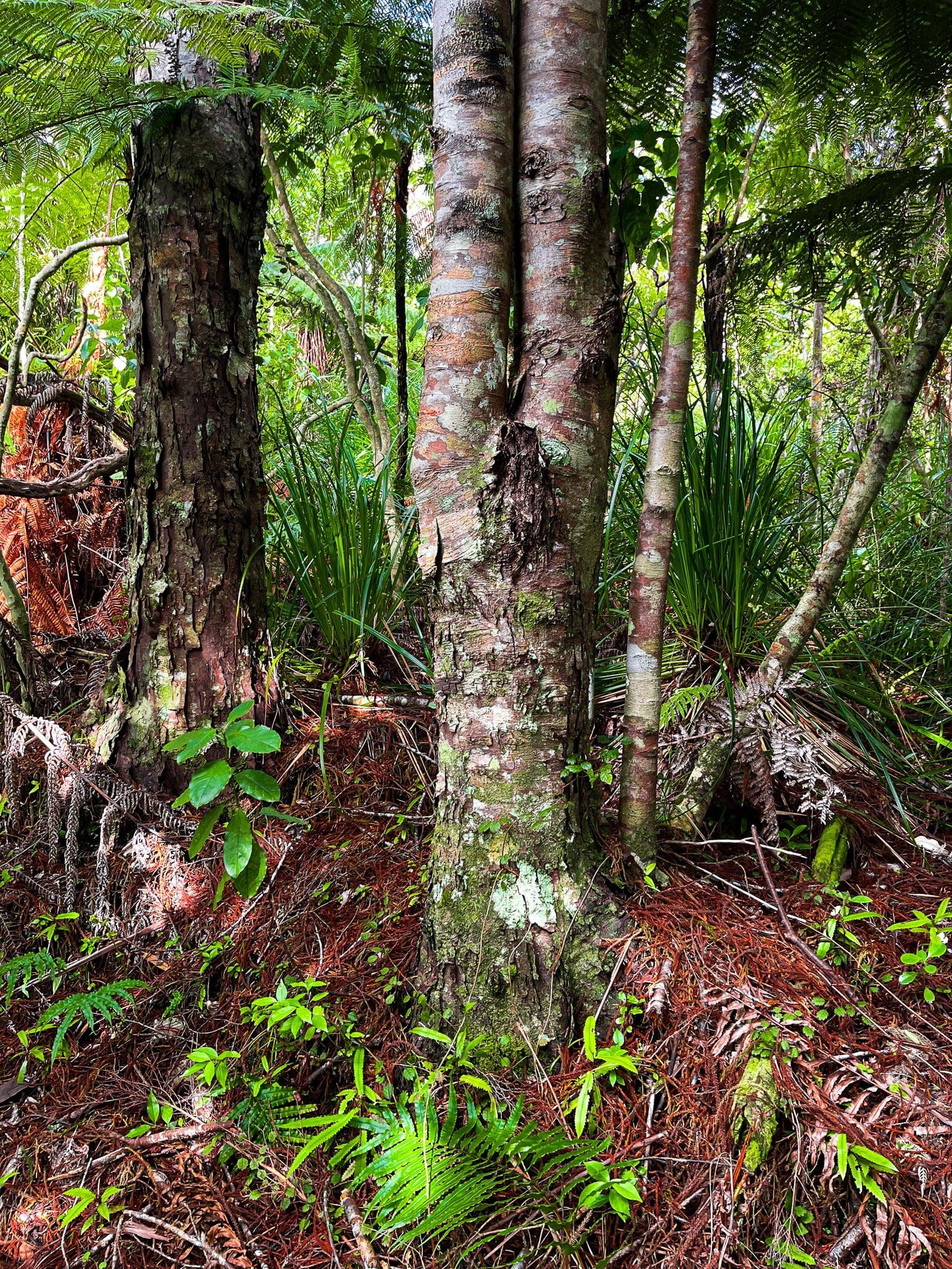 Image 9 of 12