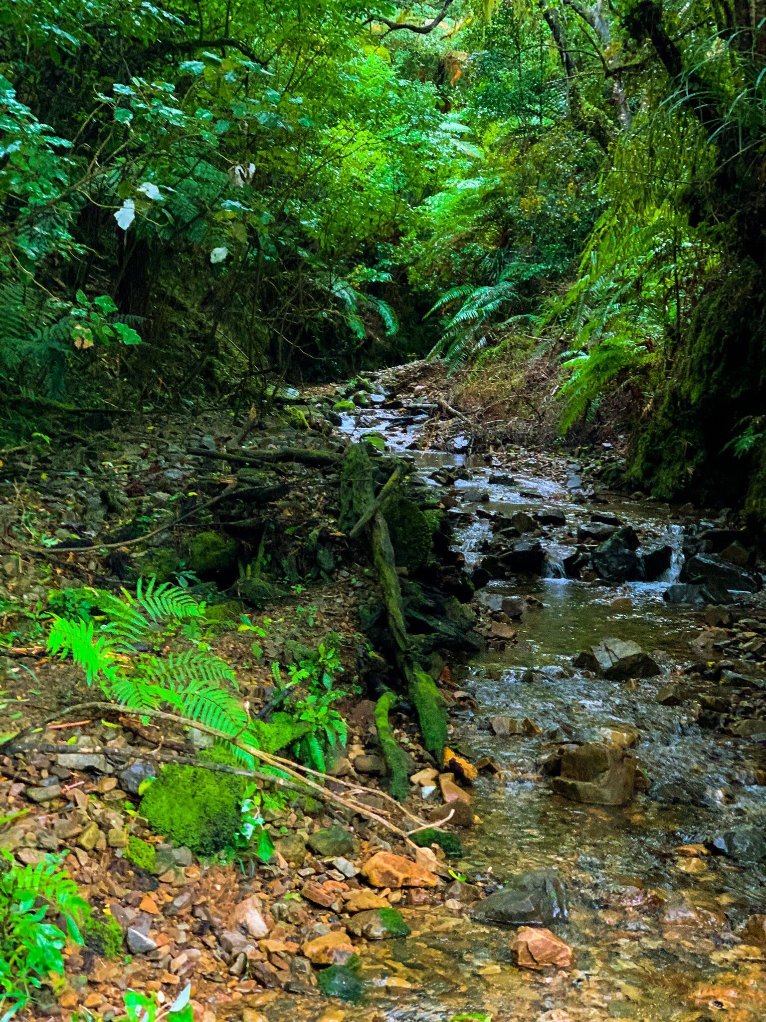 Image 6 of 12