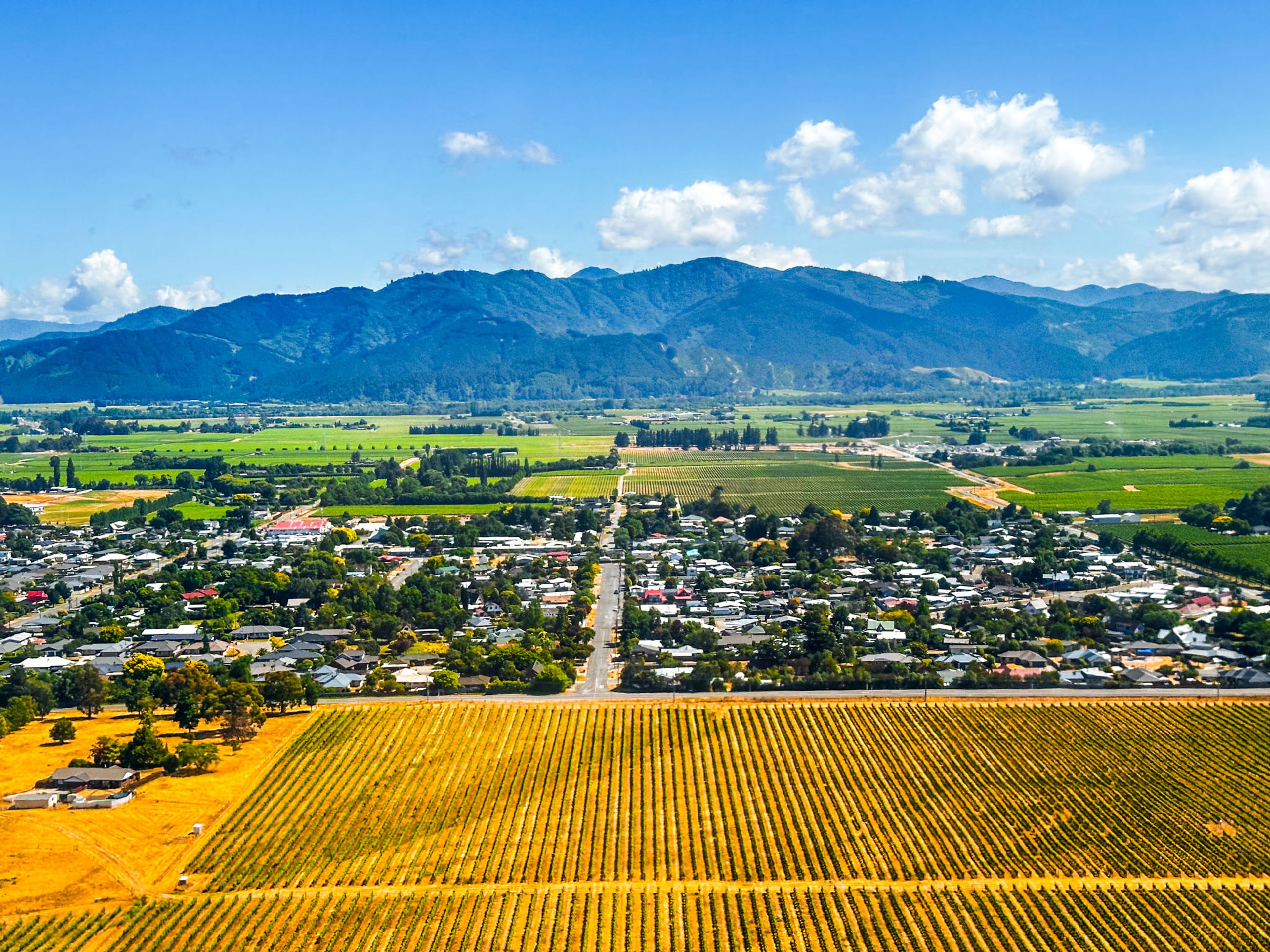 Blenheim