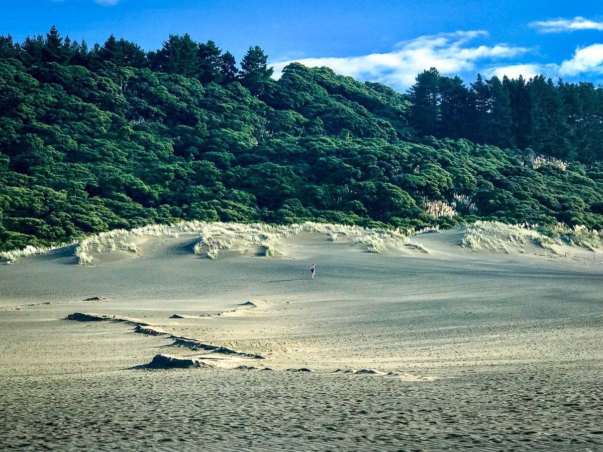 Image 2 of 9
