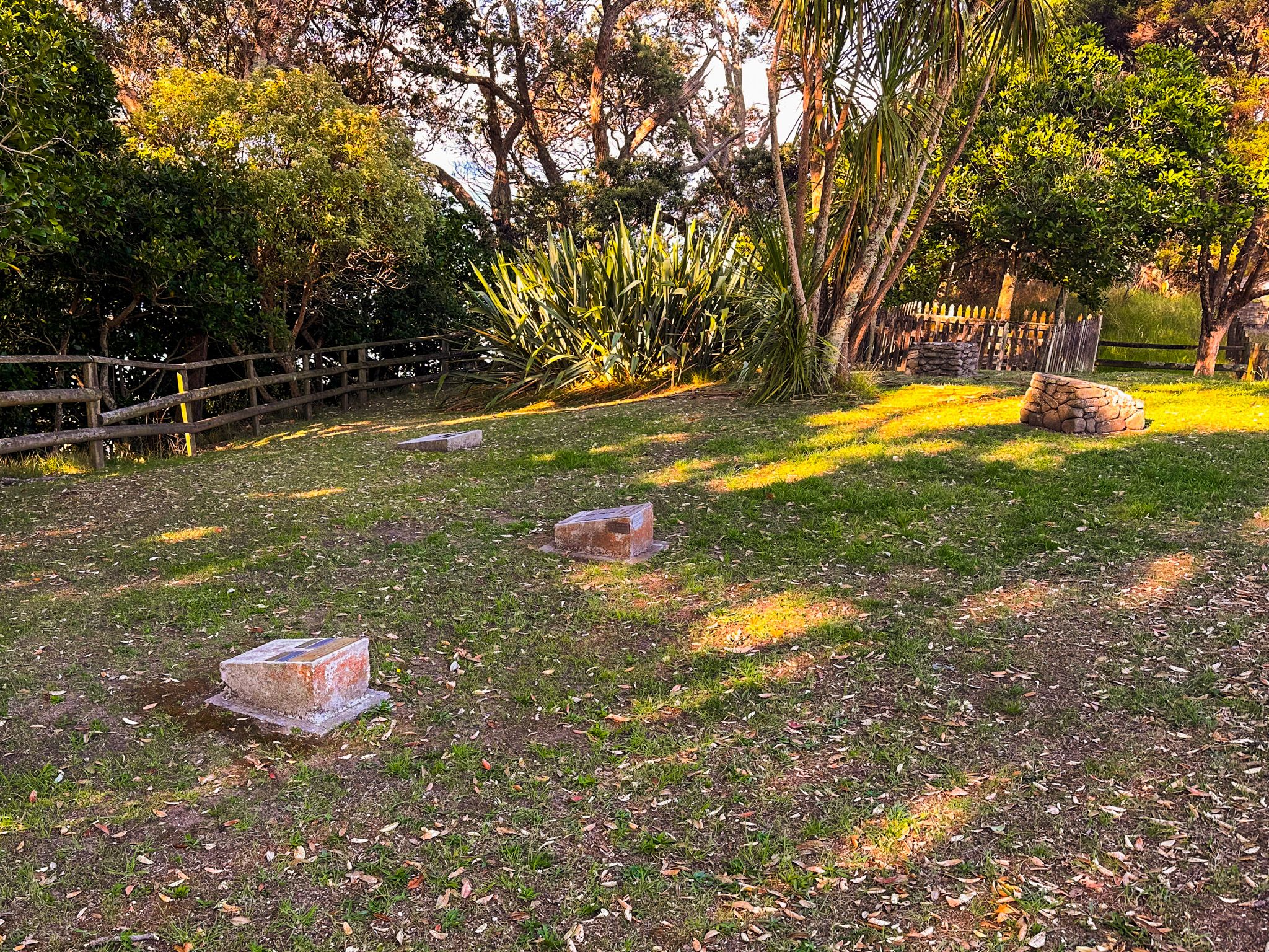 Image 4 of 10