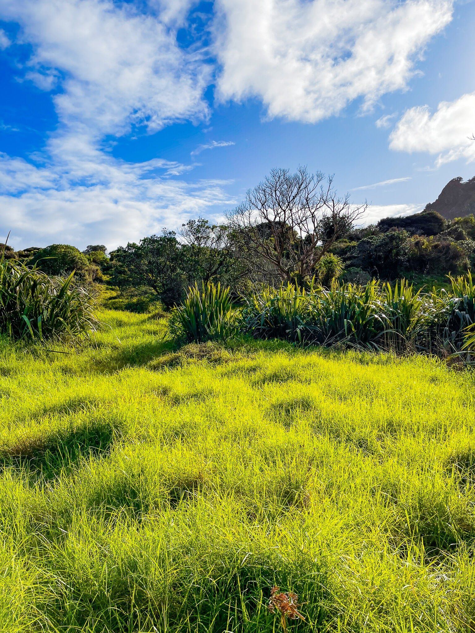 Image 14 of 15