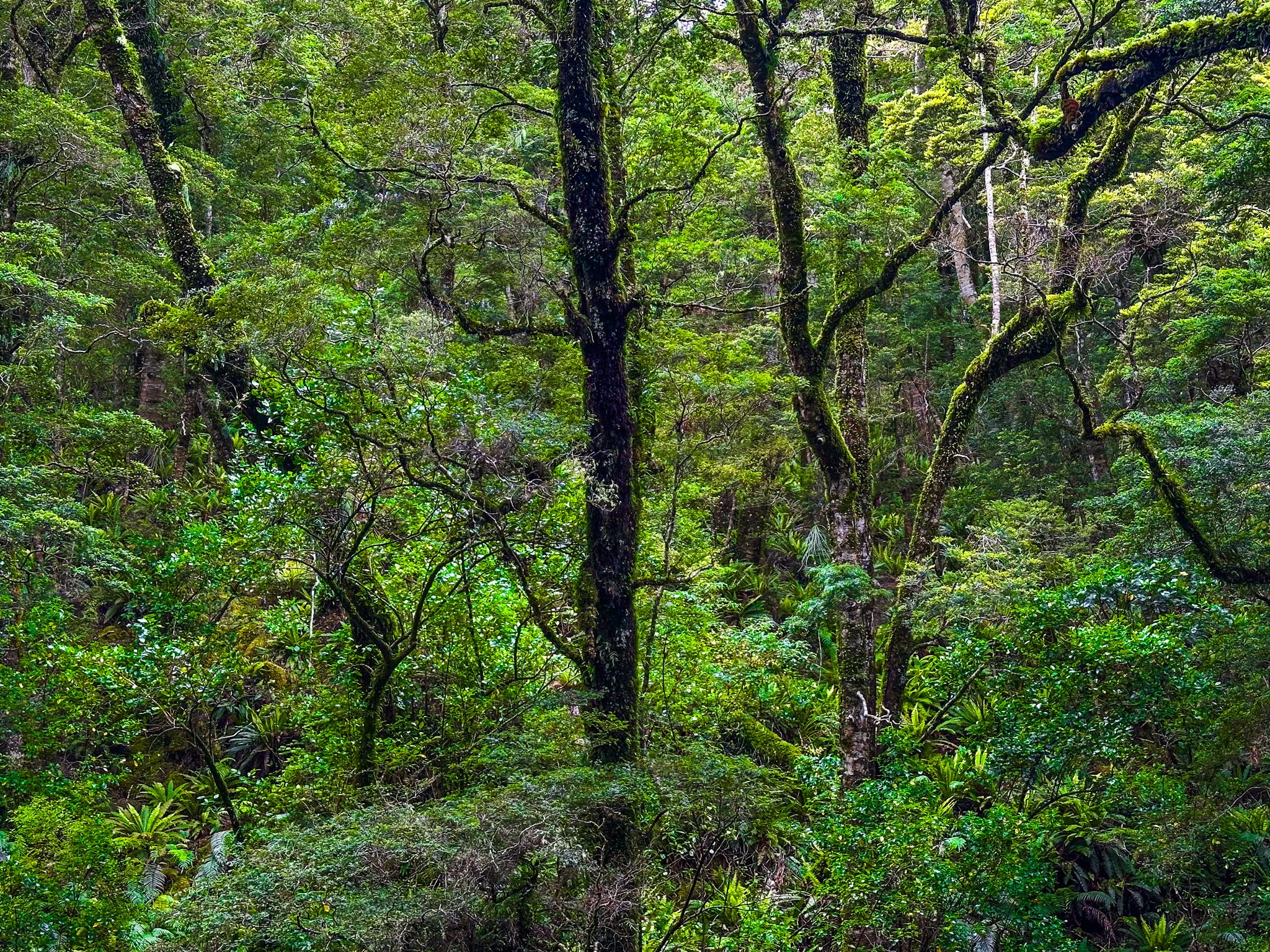 Image 5 of 10