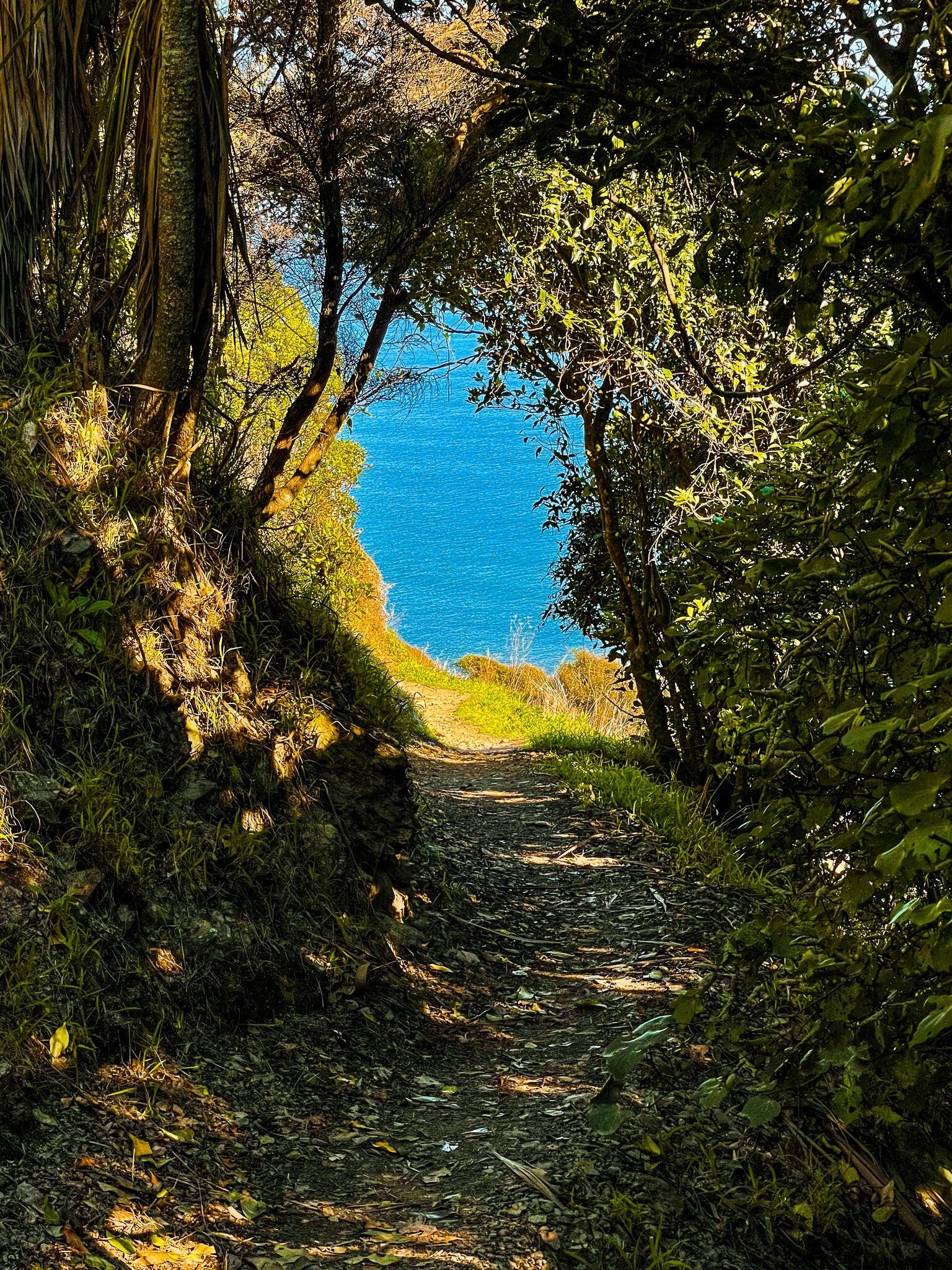 Image 5 of 12