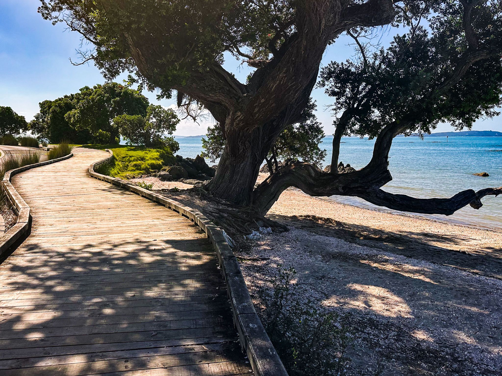 Image 10 of 10