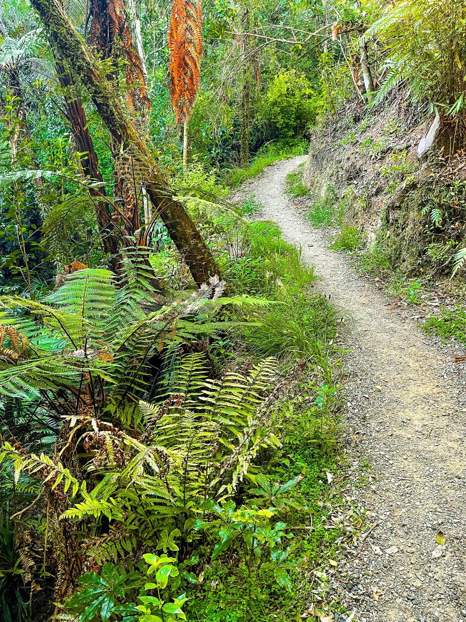 Image 7 of 8