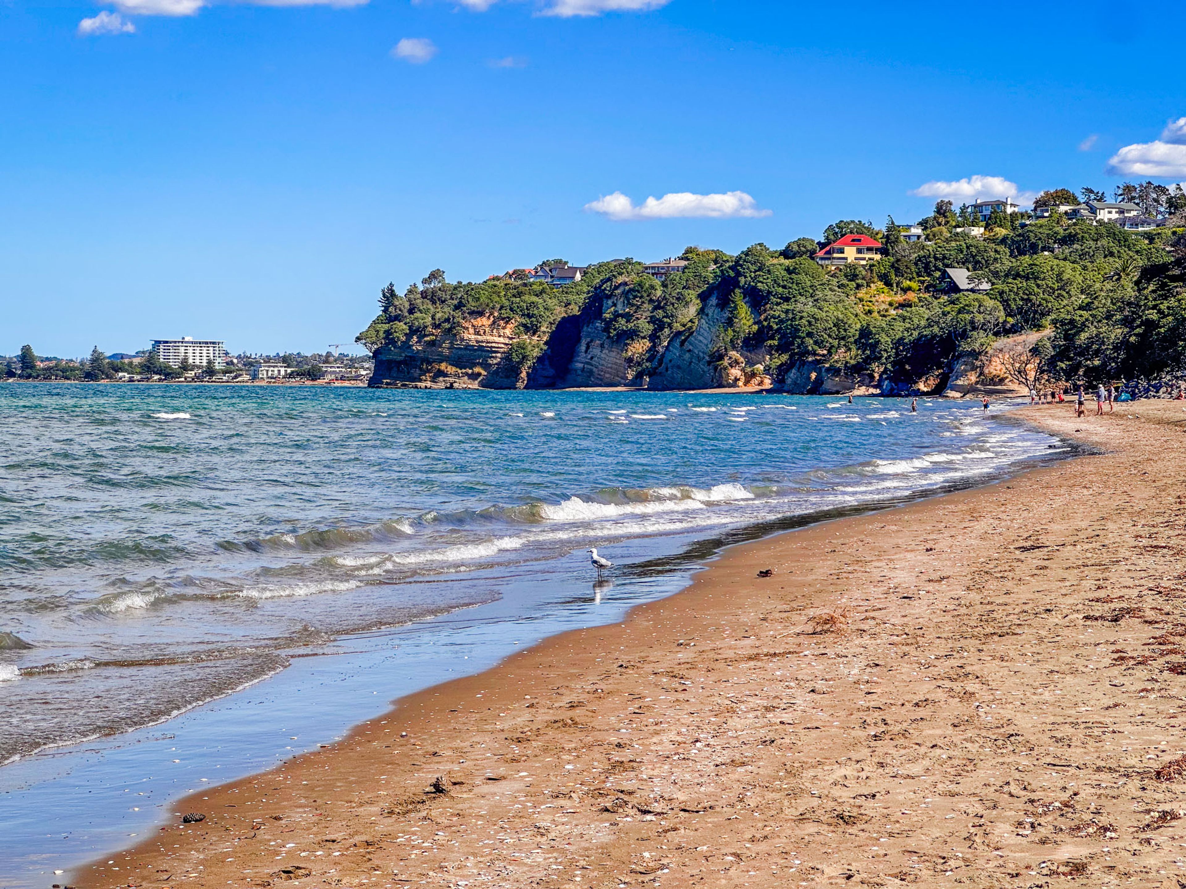 Ōtānerua / Hatfields Beach