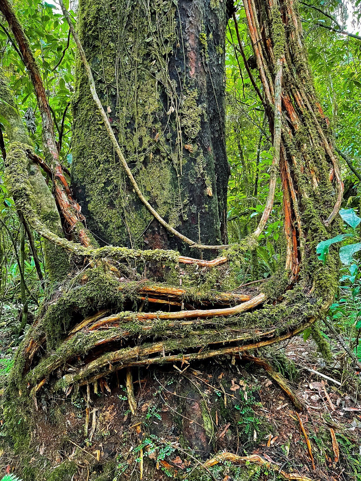 Image 7 of 10