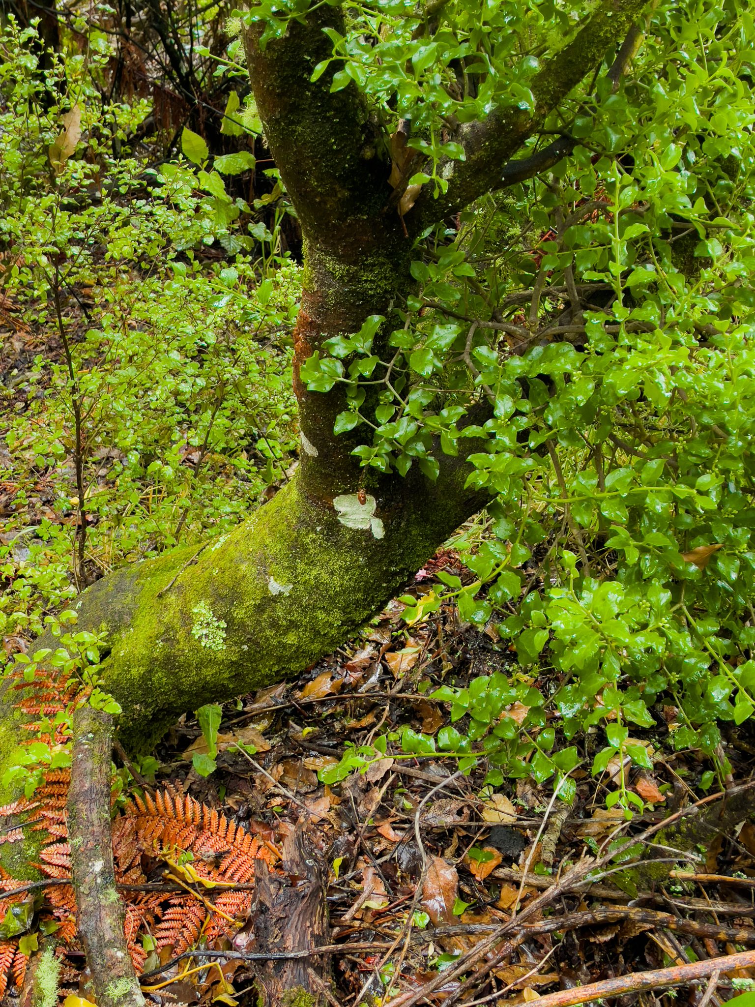 Image 9 of 9